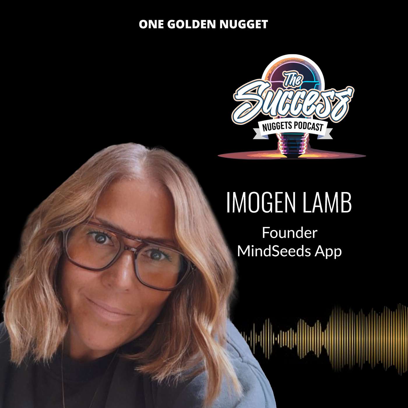 The Success Nuggets