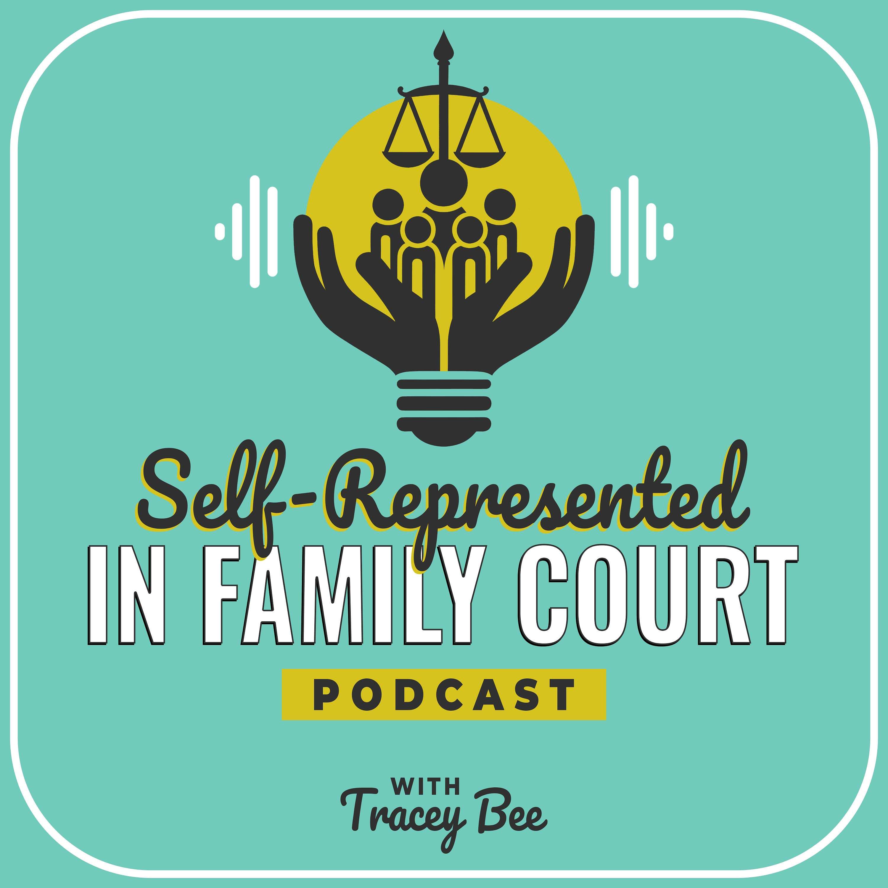 Self-Represented in Family Court 