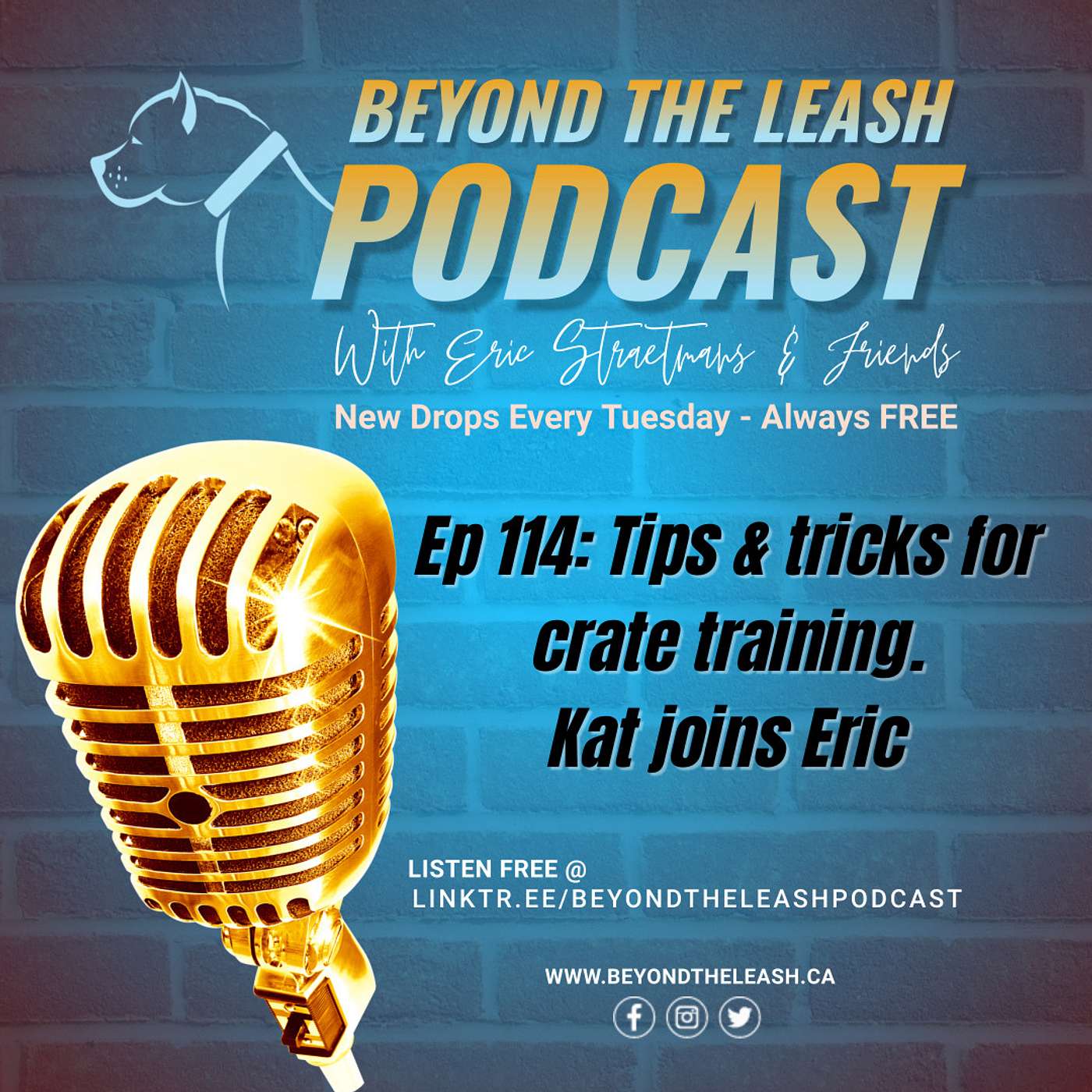 Beyond The Leash