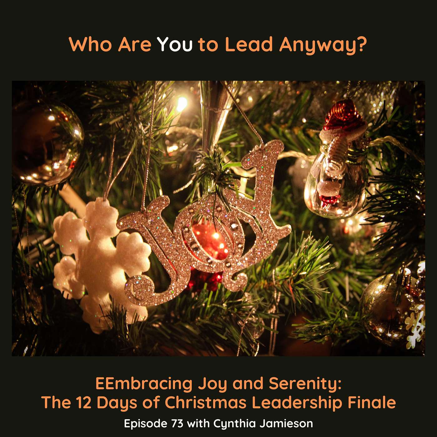 E73:  Embracing Joy and Serenity: The 12 Days of Christmas Leadership Finale episode artwork
