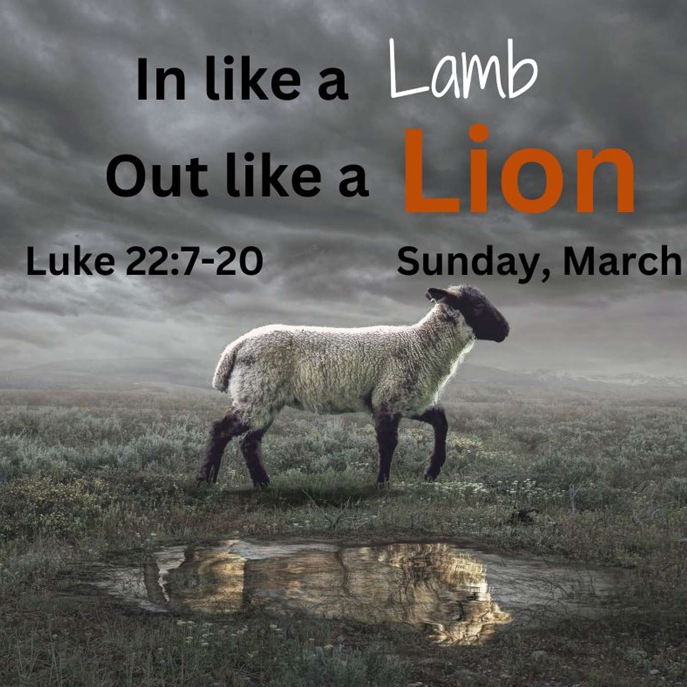 In Like A Lamb, Out Like A Lion