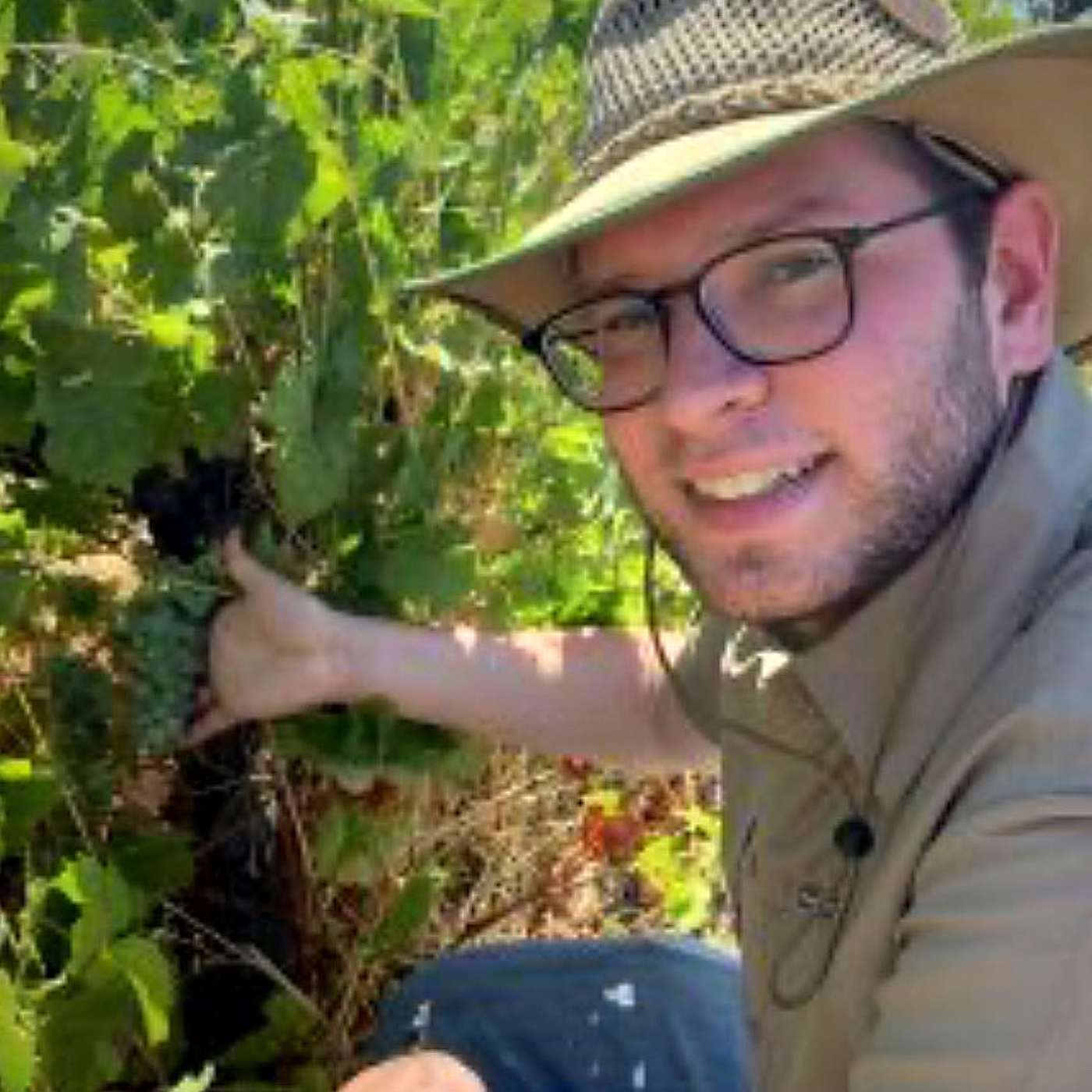 The Kosher Terroir