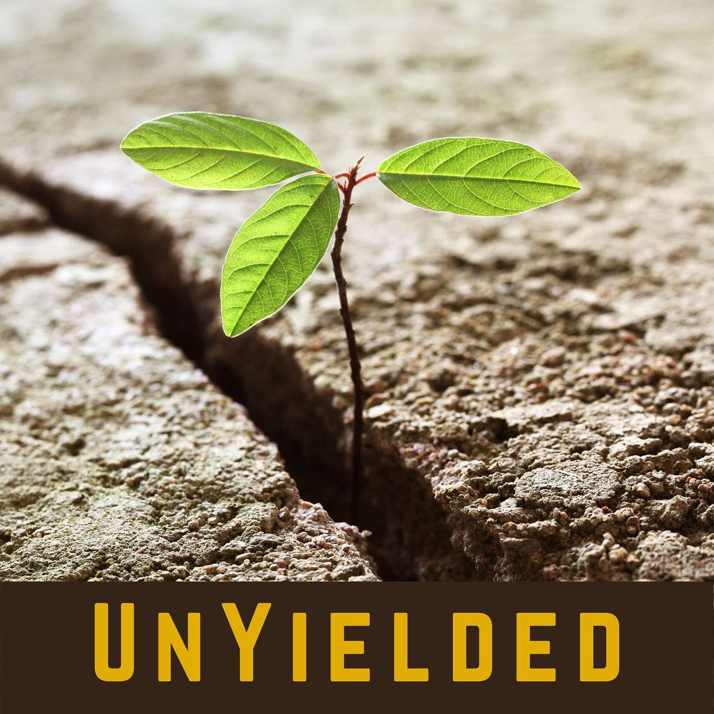 My Baby is Blind? Resilience after a “Suckerpunch” - Kristin Smedley