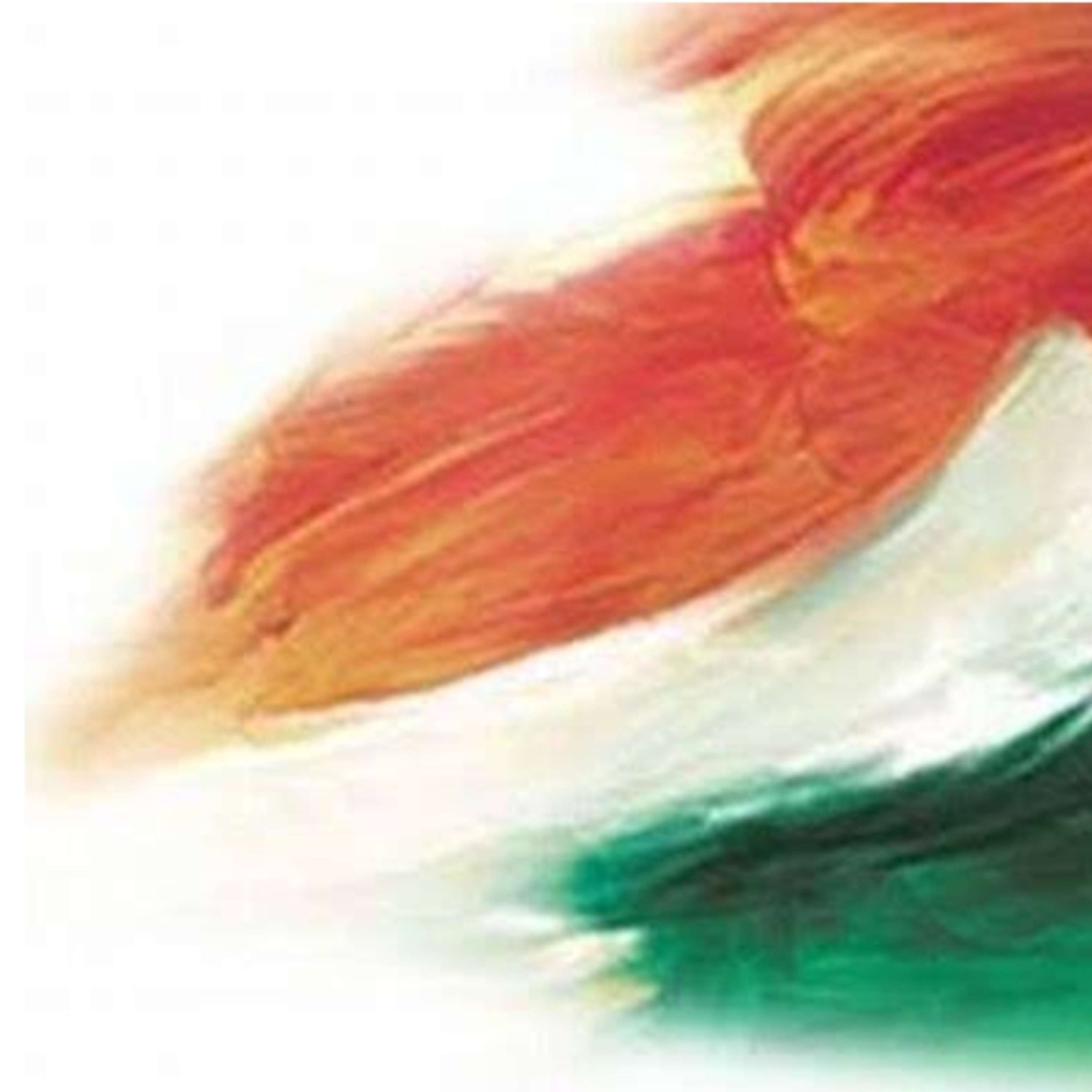 Dil Hai Hindustani