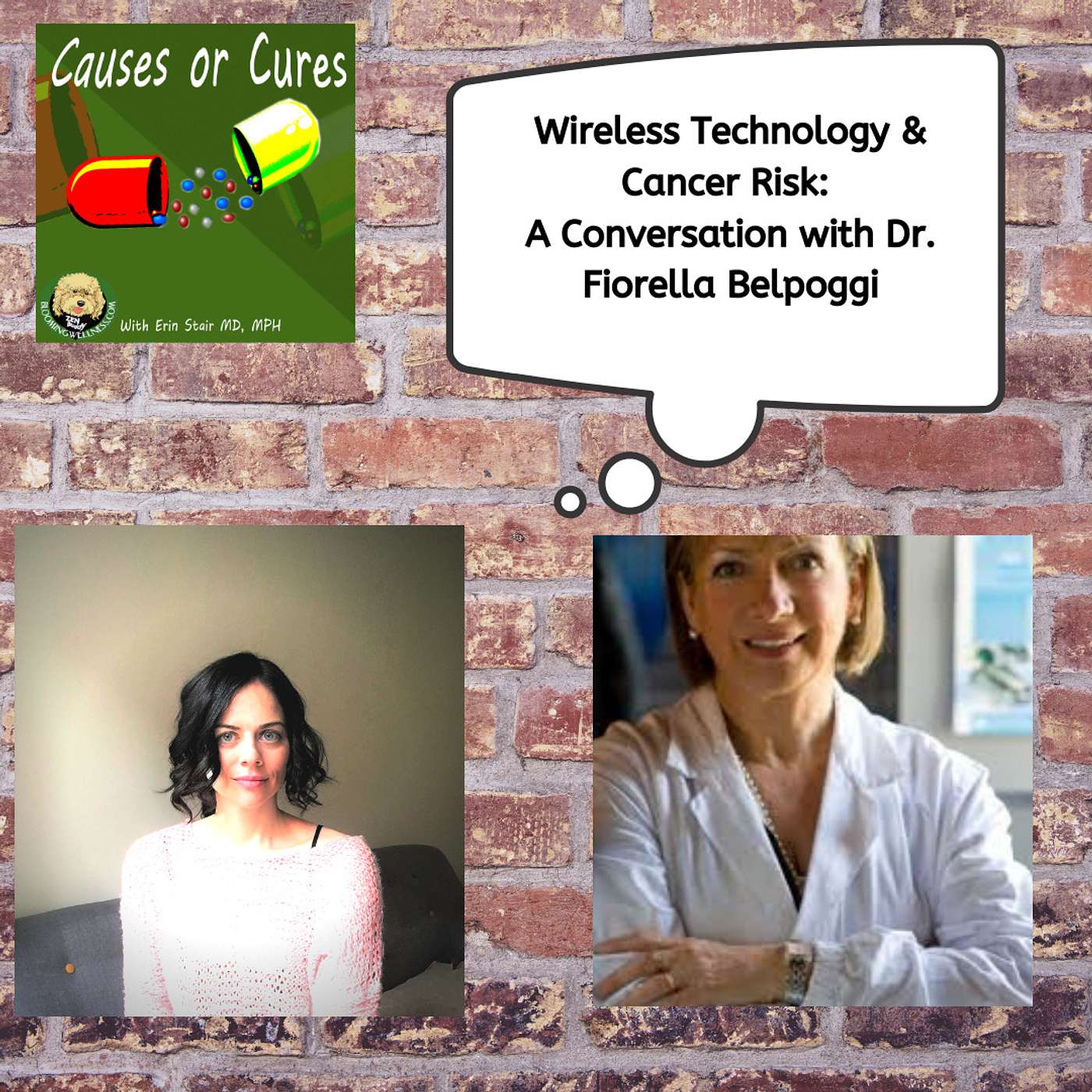 Wireless Technology & Cancer Risk: An Interview with Dr. Fiorella Belpoggi