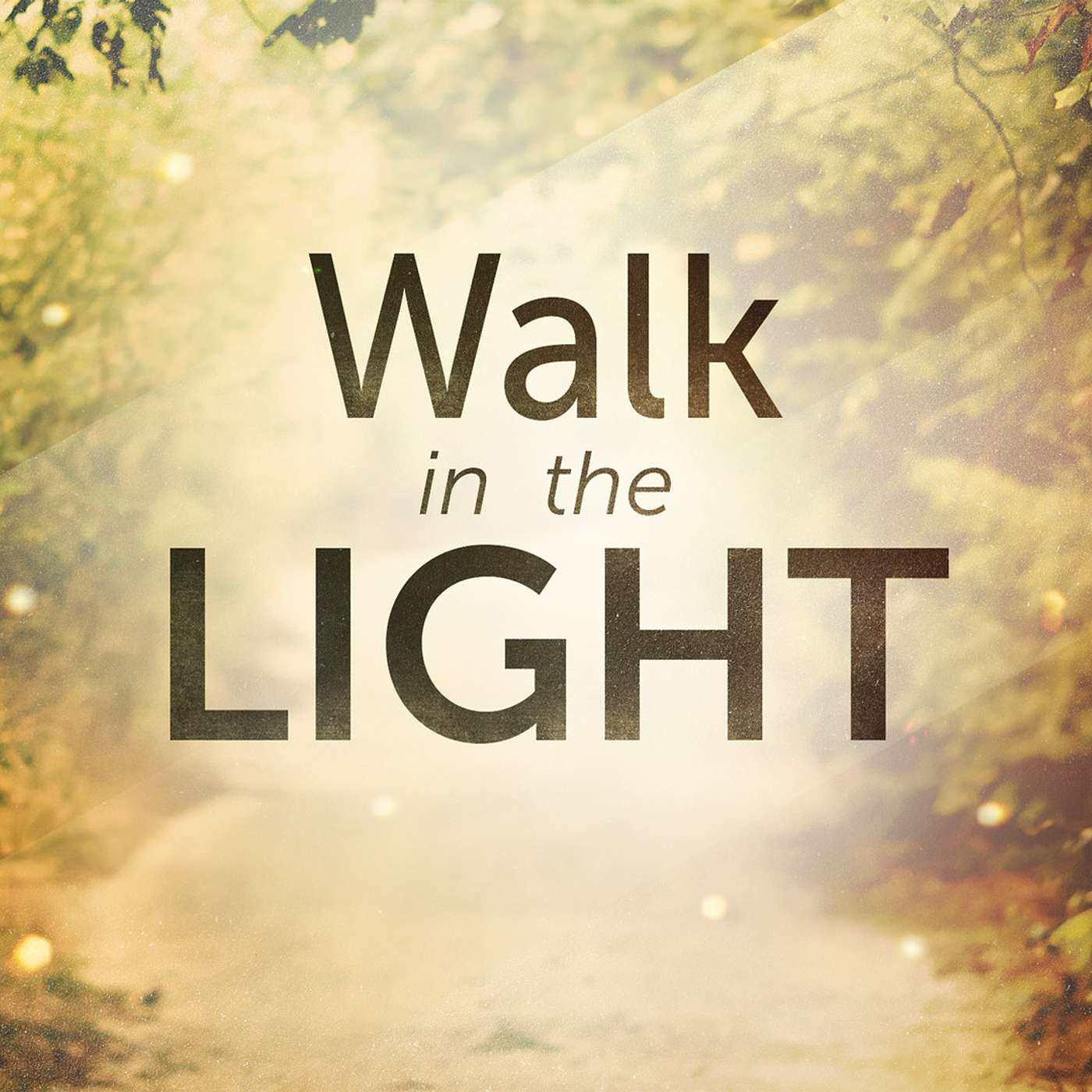 Walk In the Light: We Know (1John 5:18-21) episode artwork