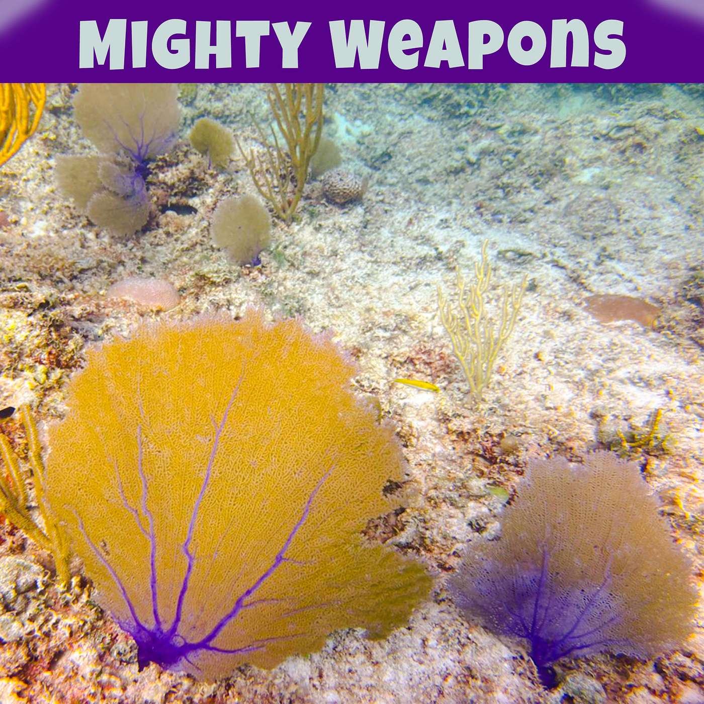 Mighty Weapons: Winning the Battle in Your Mind episode artwork