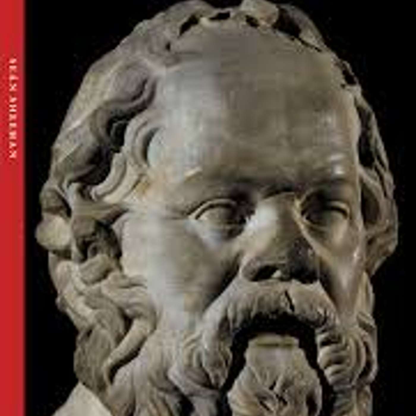 Teacher Tails - Karrer Shorts