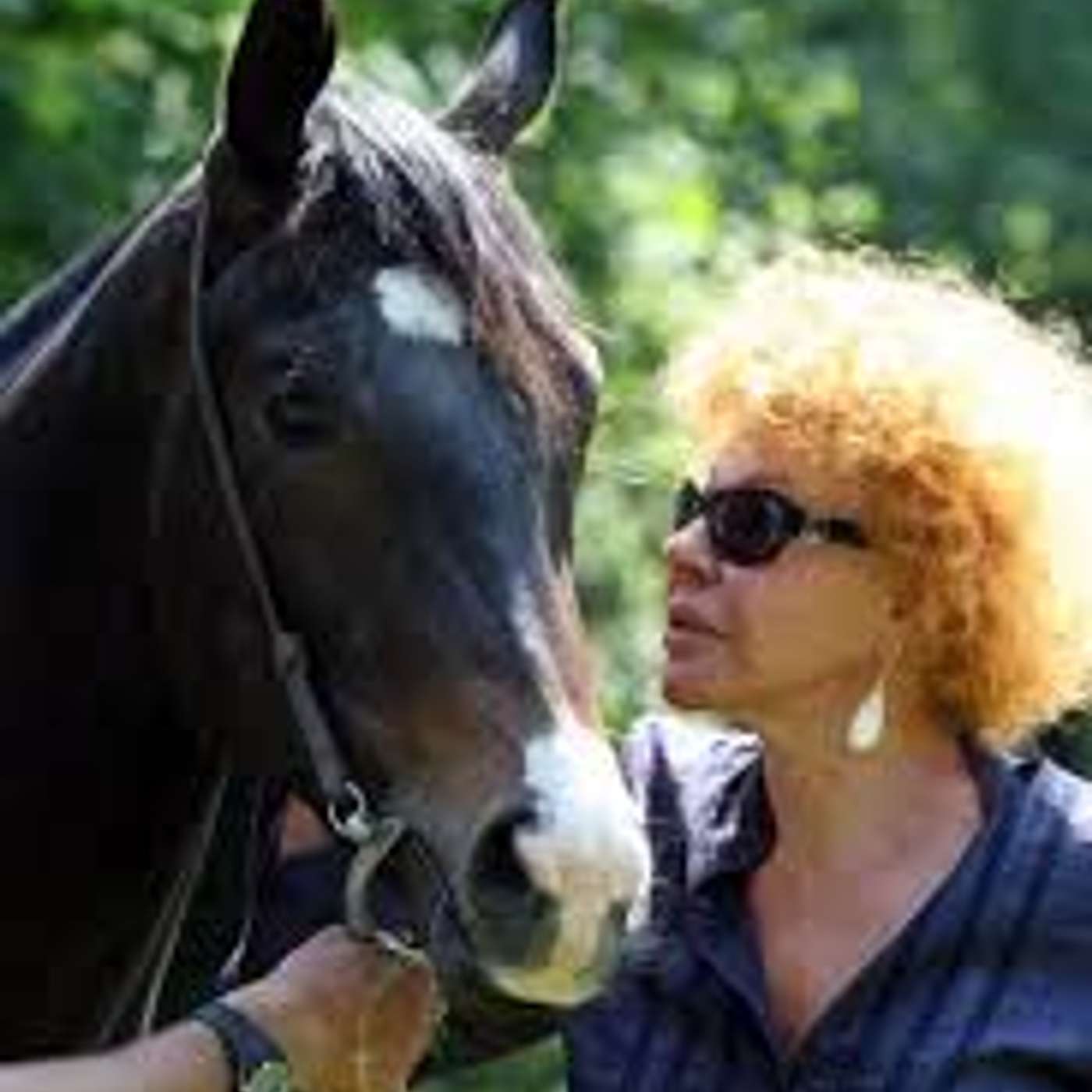 Omaggio ad Ornella Vanoni tra allevamento di cavalli e cani!  di Lucia Orlandi e Mara Generali