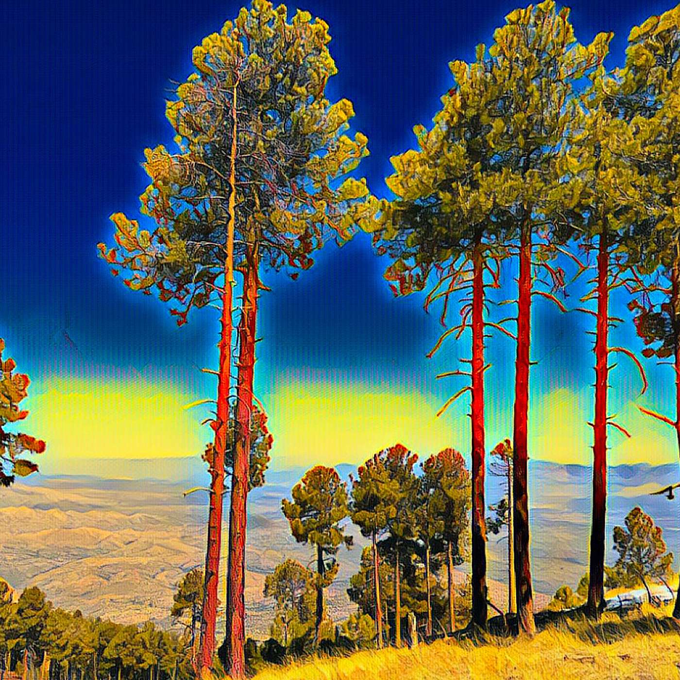 Arizona Trail: Mica Mountain
