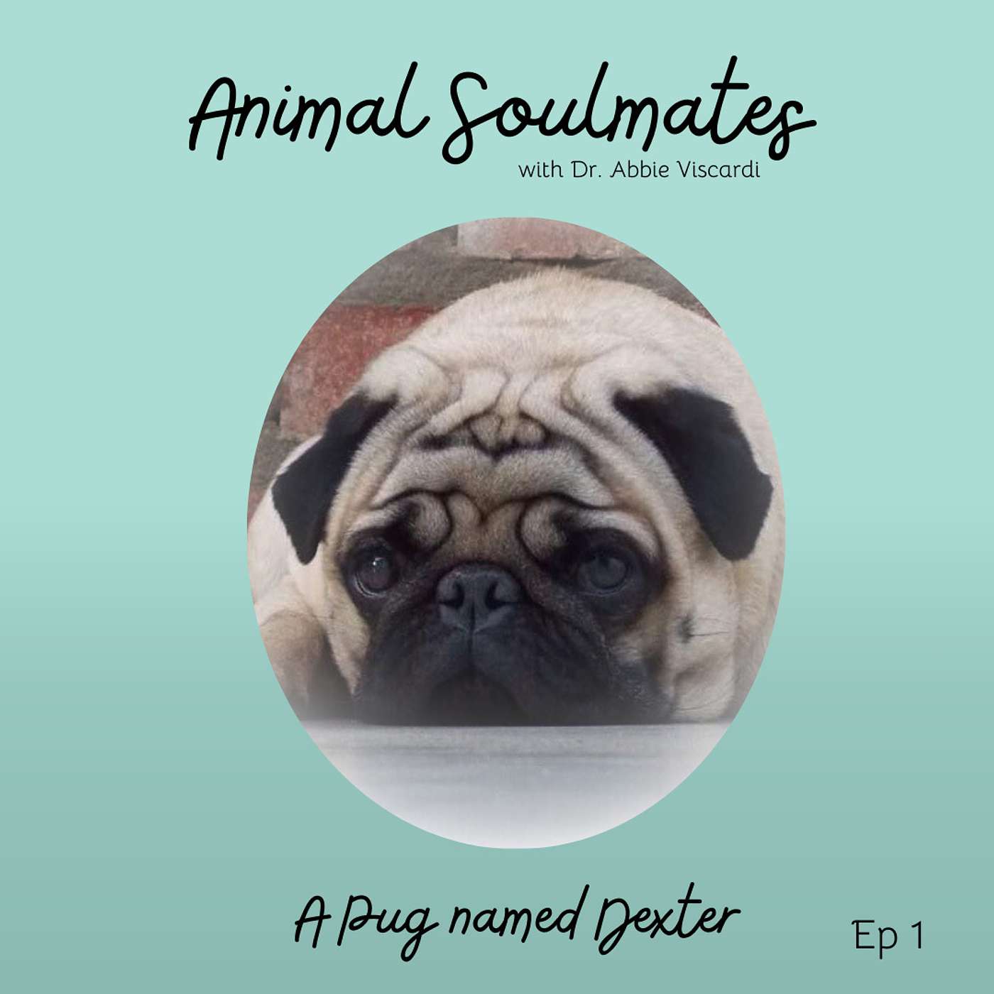 Animal Soulmates
