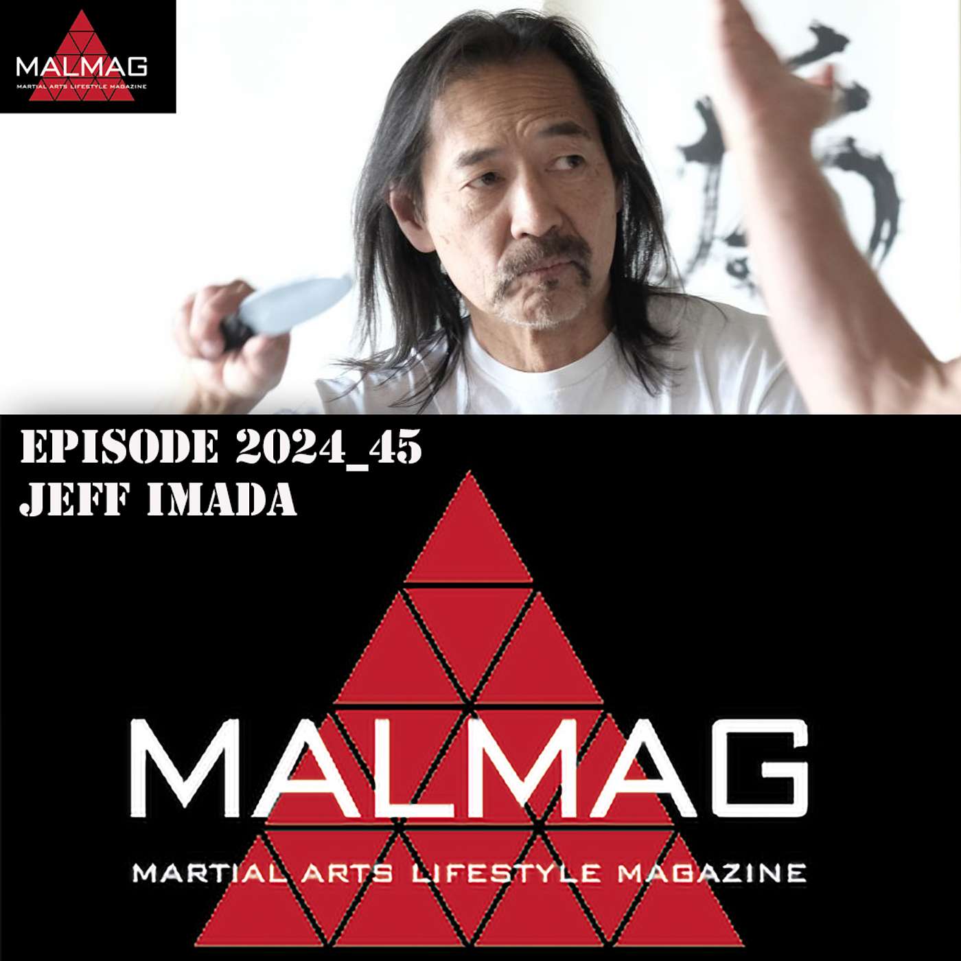 The Martial Arts Lifestyle Podcast Episode 2024_45 with Jeff Imada