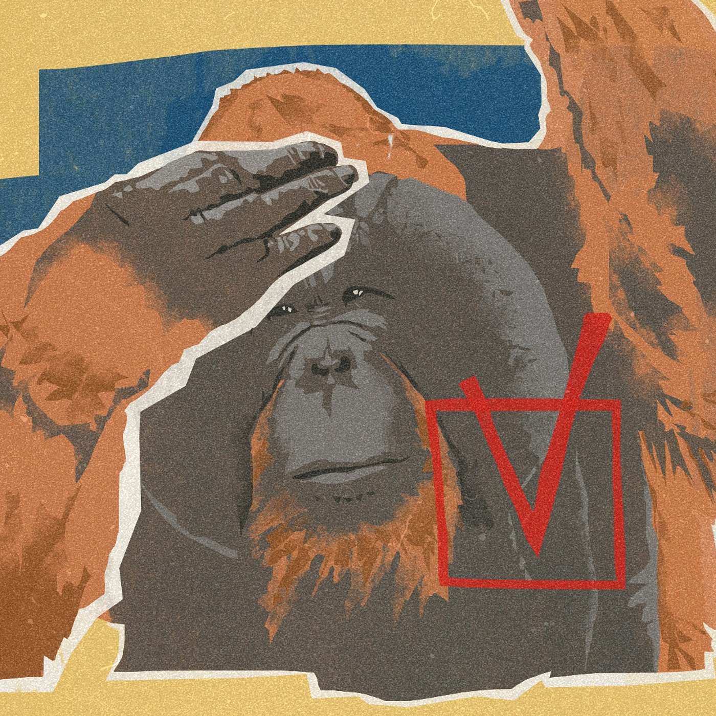 Несогласованный кандидат-орангутан. Зачем вбрасывали против Бату