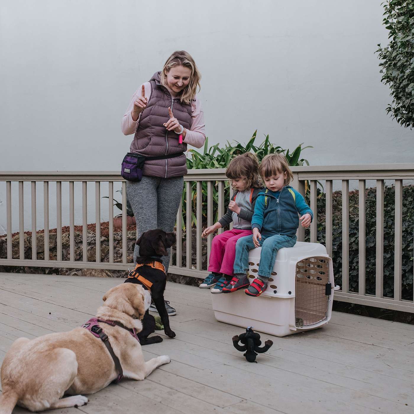 Dog Meets Baby and Doula with Dominika Knossalla-Pado