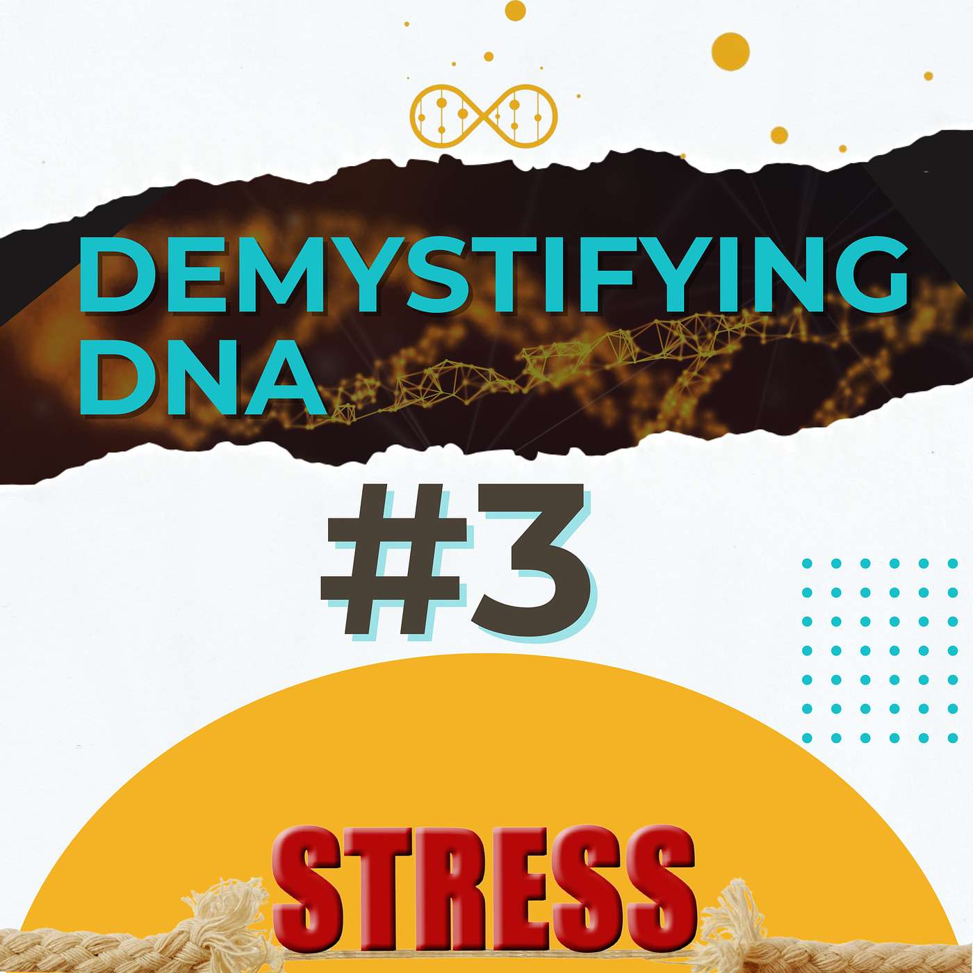 Demystifying DNA
