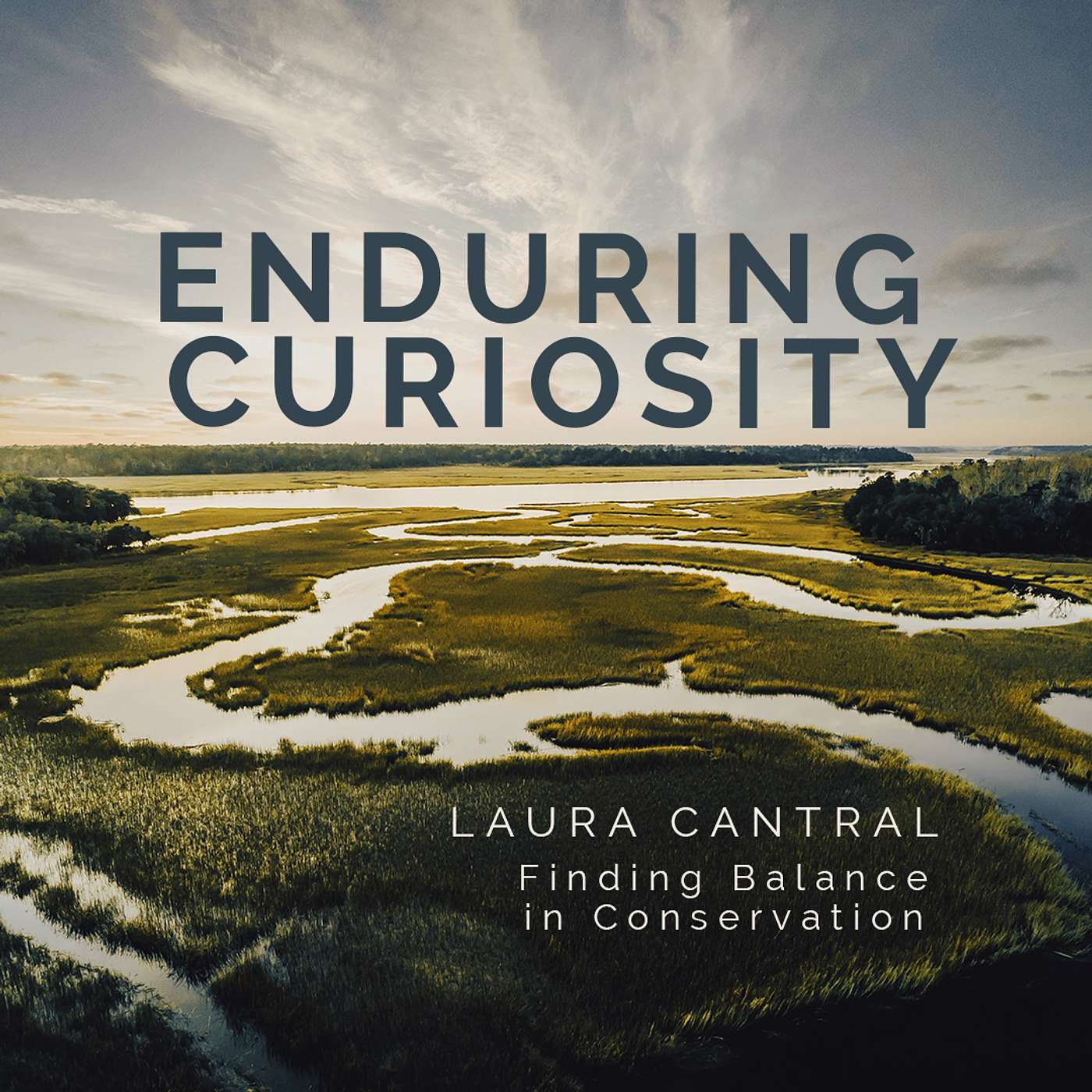 Enduring Curiosity