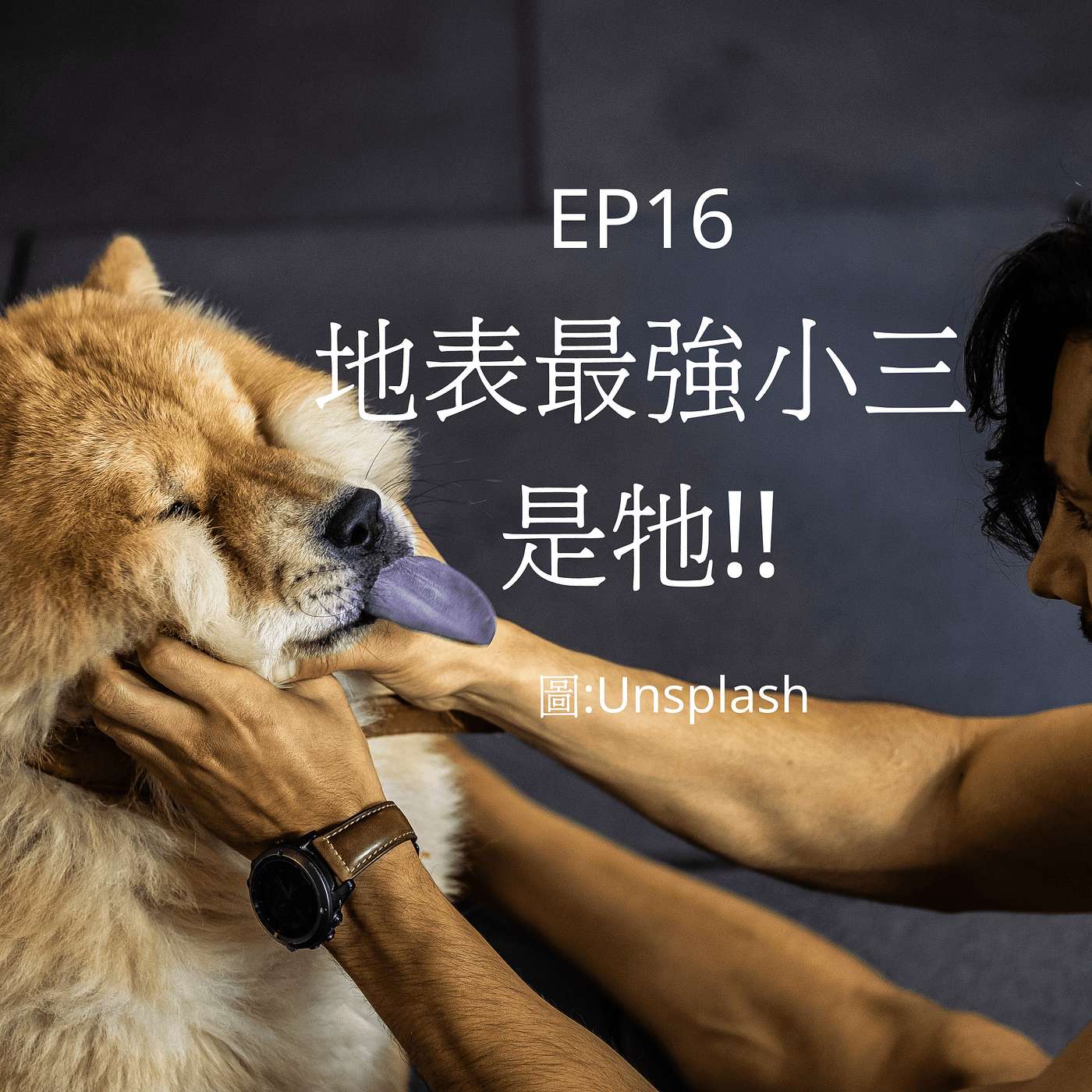從0到1媒體人X斜槓 EP16地表最強小三！想跟媽咪搶爸比的毛小孩_鬆獅犬感謝媽咪成全 episode artwork