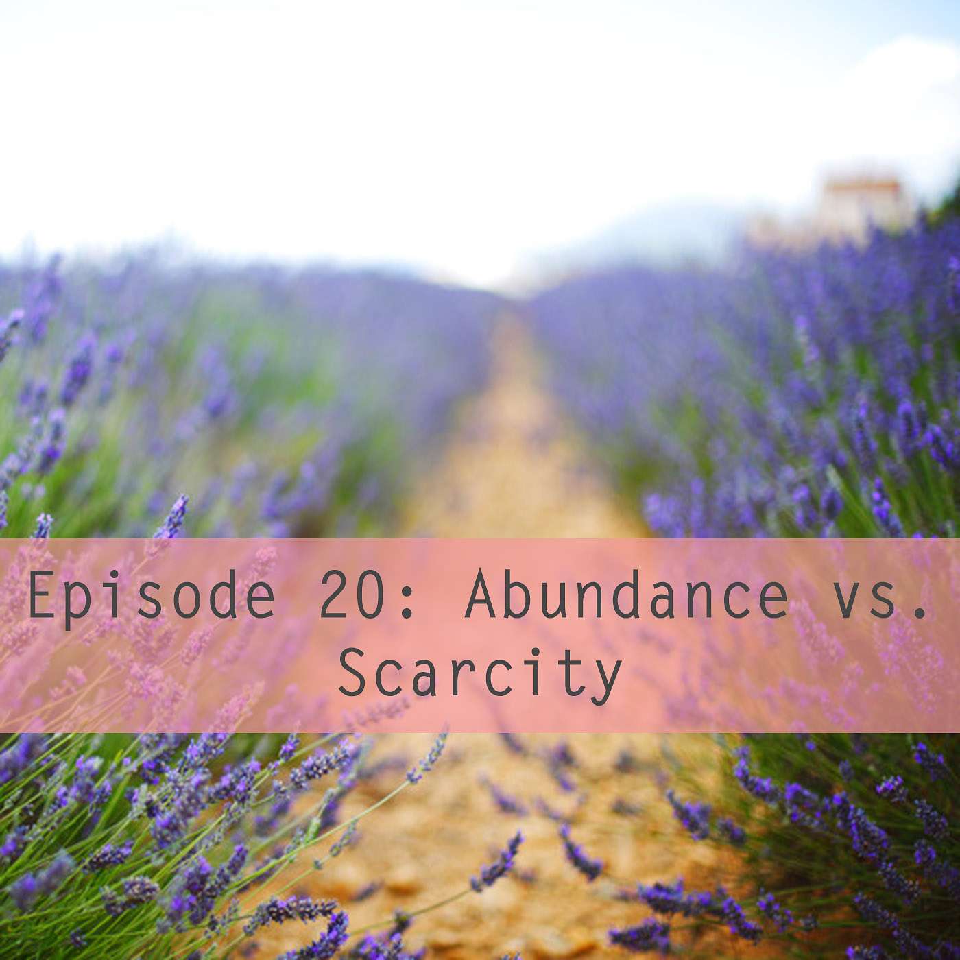 Episode 20: Abundance vs. Scarcity