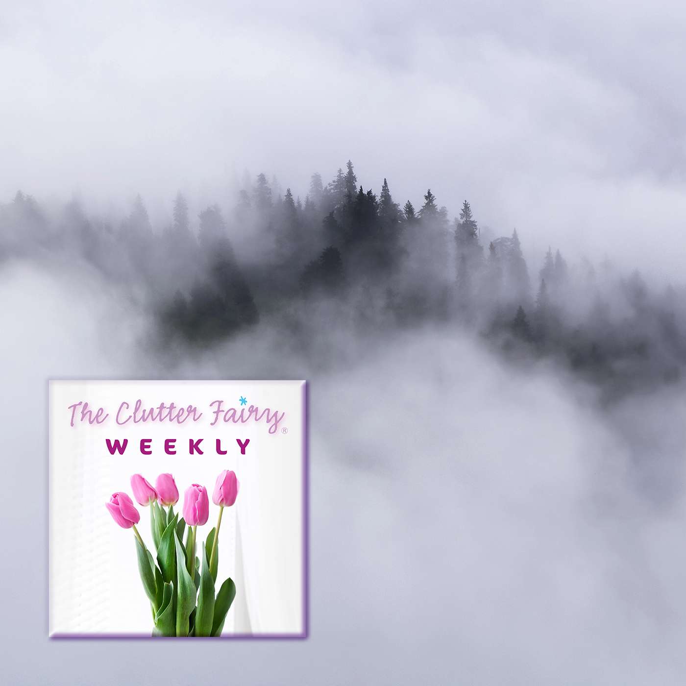 The Science of Clutter Brain: How Your Mess Hijacks Your Mind - The Clutter Fairy Weekly #319