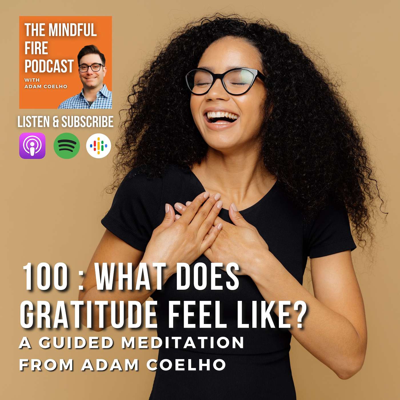 100 : Meditation : What Does Gratitude Feel Like?