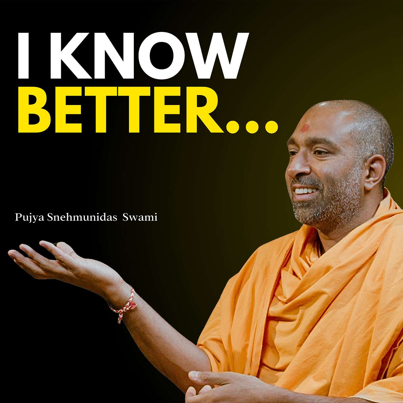 I Know What To Do…So Why Dont I Do It? | Pujya Snehmunidas Swami | Windows Into Wisdom episode artwork