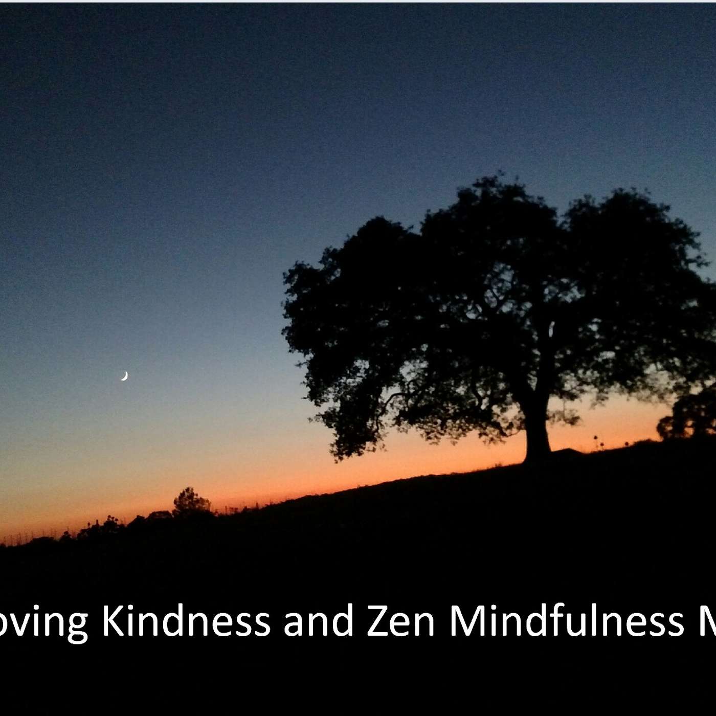 cover of episode Simplicity Zen - Guided Loving Kindness and Zen Mindfulness Meditation