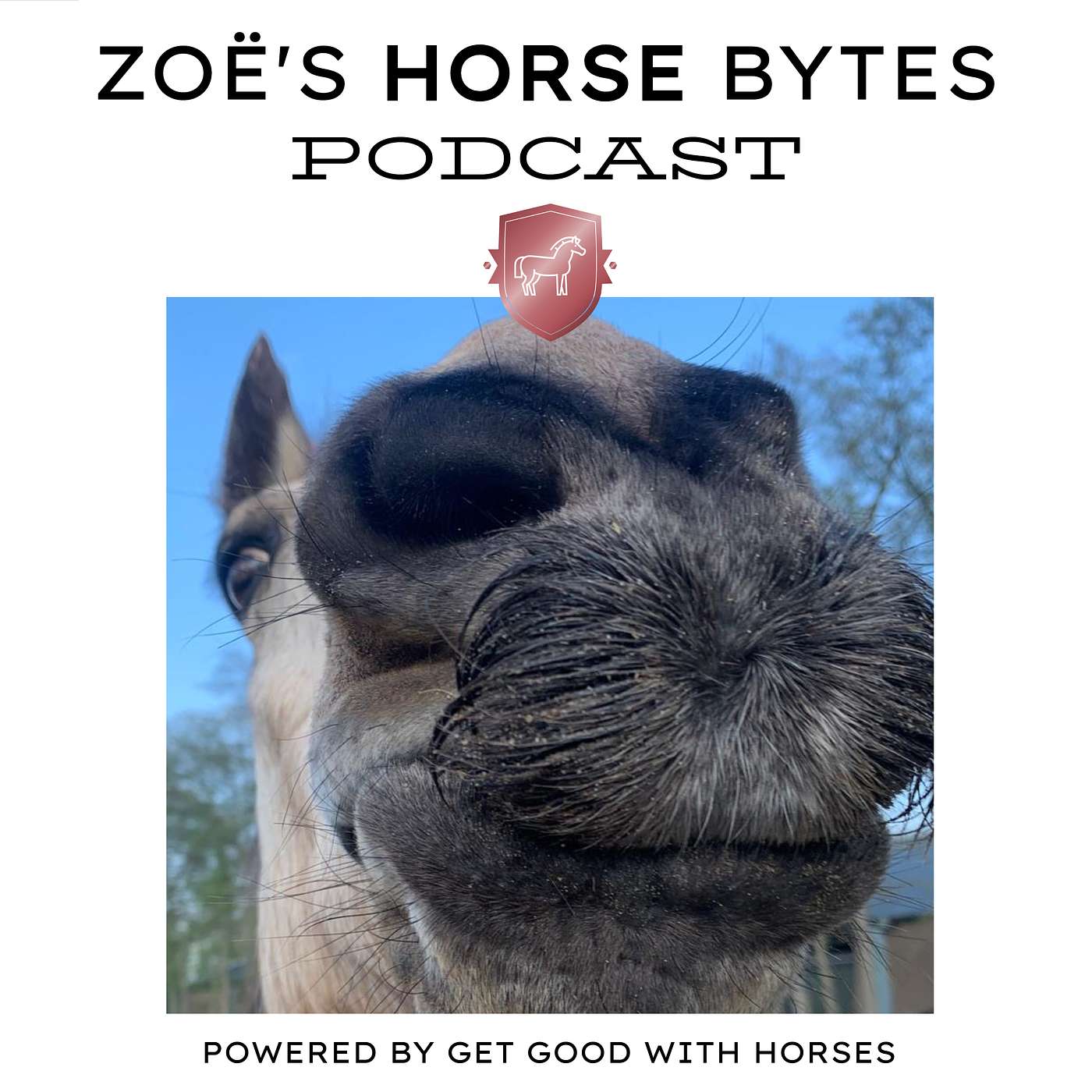 Zoë\'s Horse Bytes