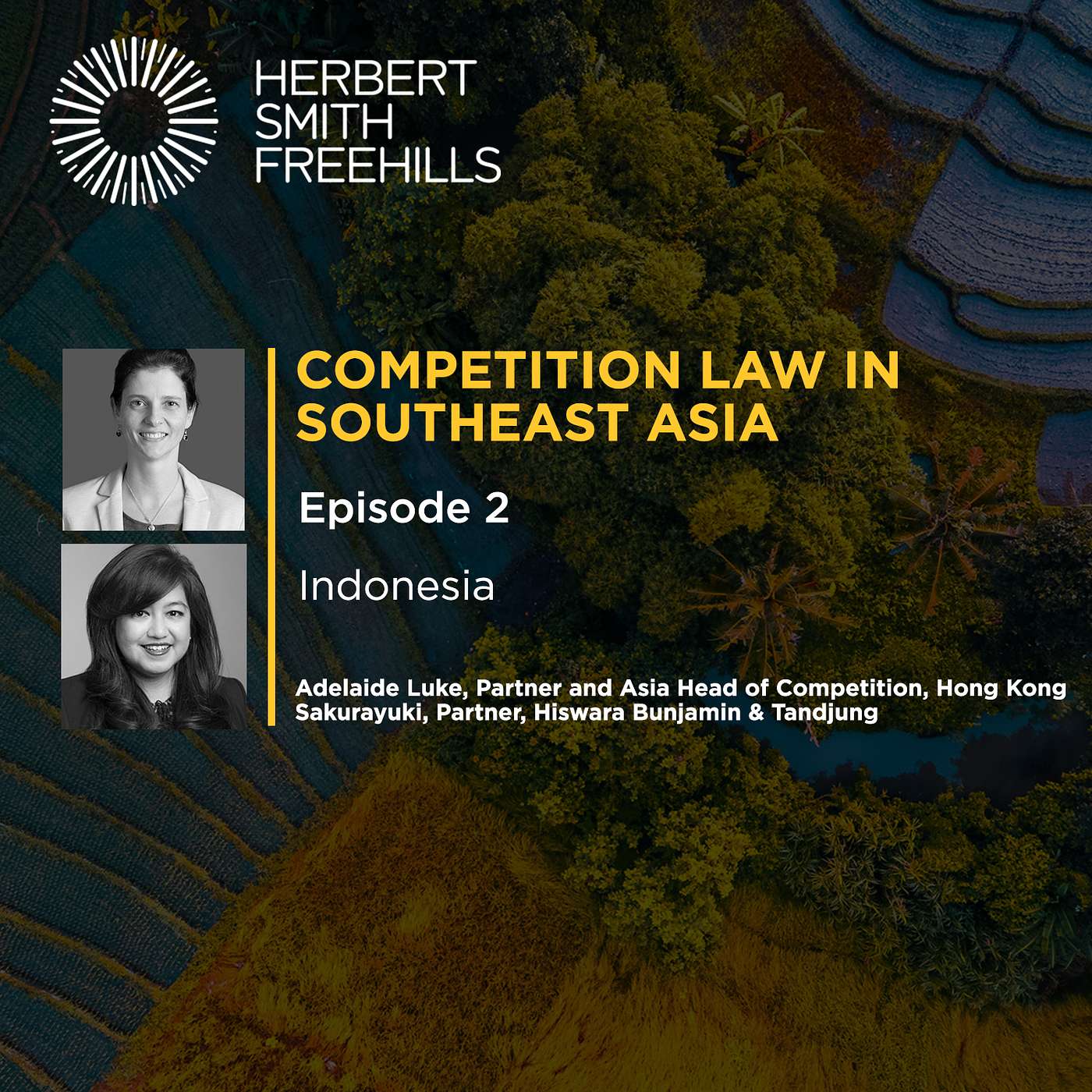 Competition law in Southeast Asia - Indonesia: EP2 episode artwork
