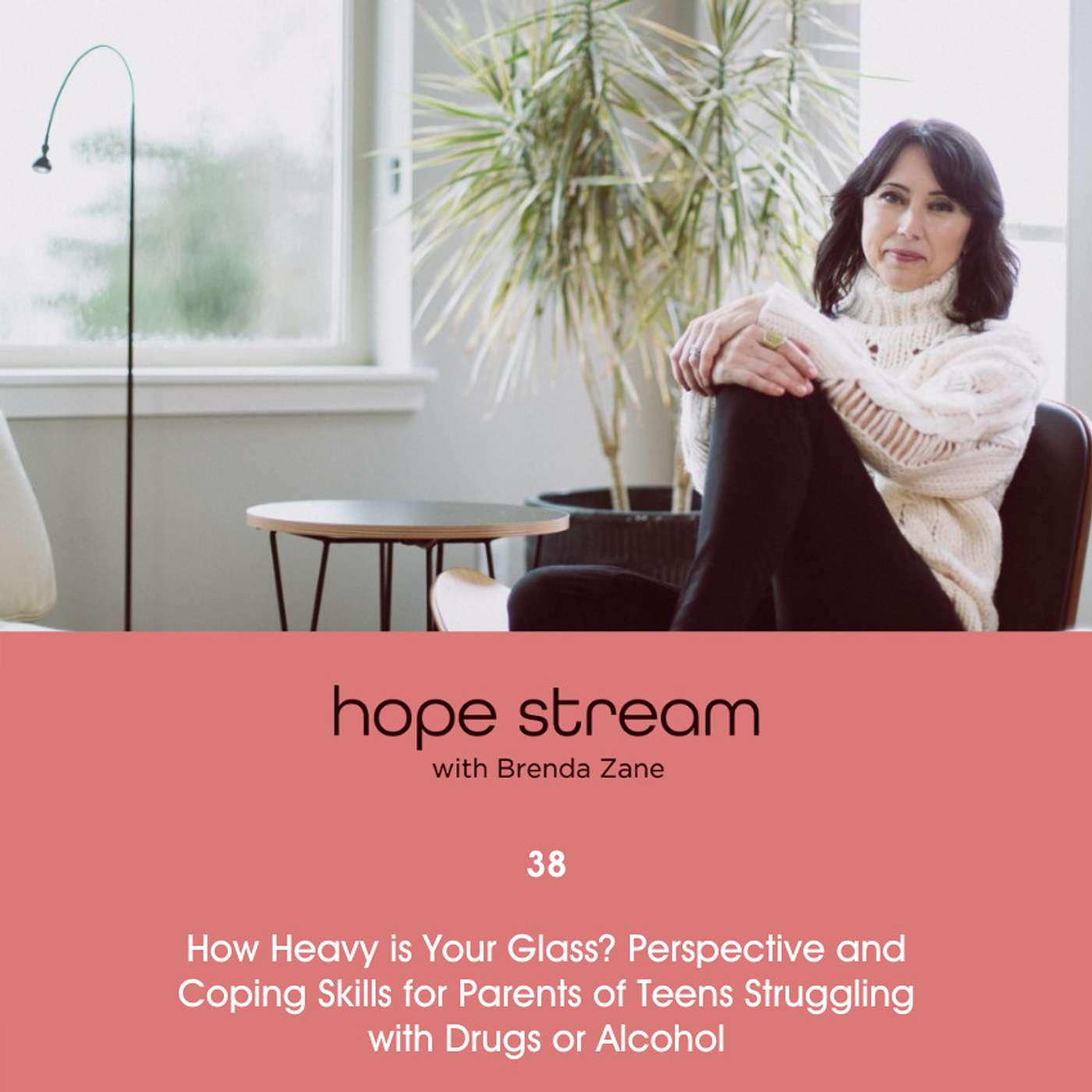 How Heavy is Your Glass? Perspective and Coping Skills for Parents of Teens Struggling with Drugs or Alcohol, with Brenda Zane