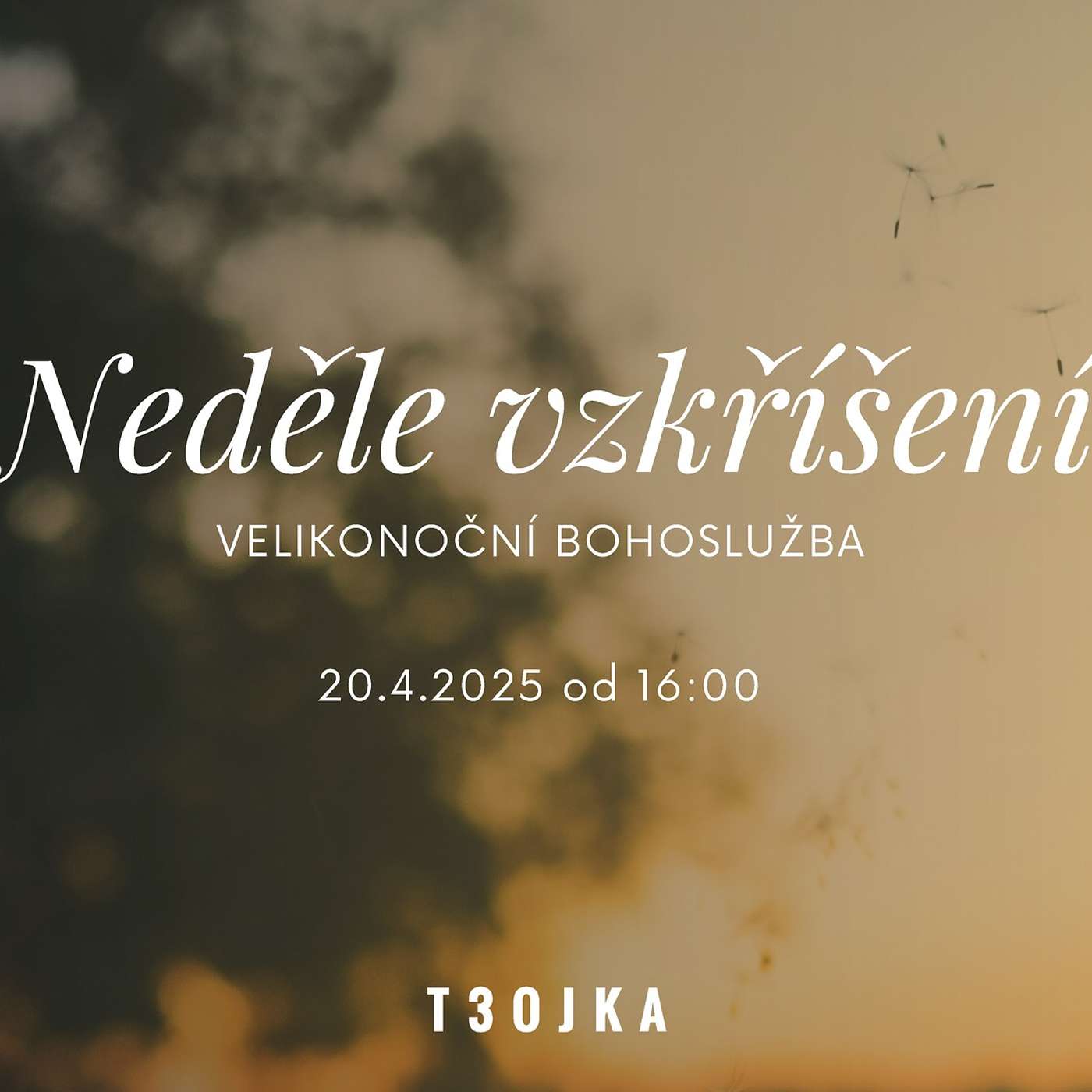 Bohoslužba | Velikonoční bohoslužba | Neděle vzkříšení | 20-04-2025
