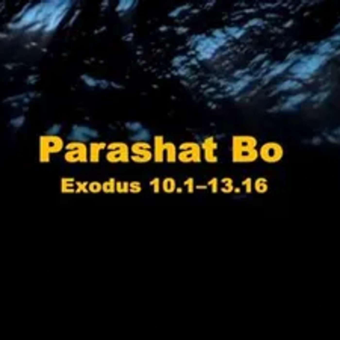 Parashah Bo: Exodus 10:1-13:16
