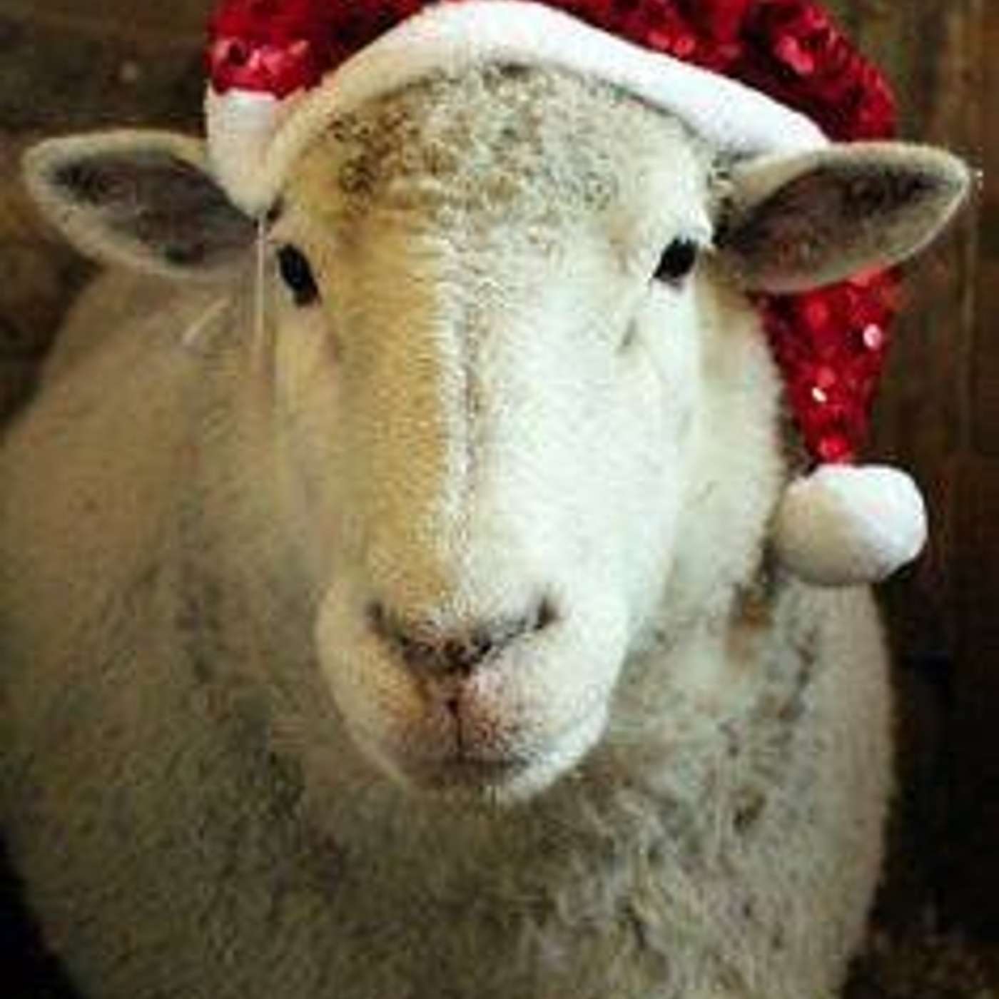 The Church at Sun Coast