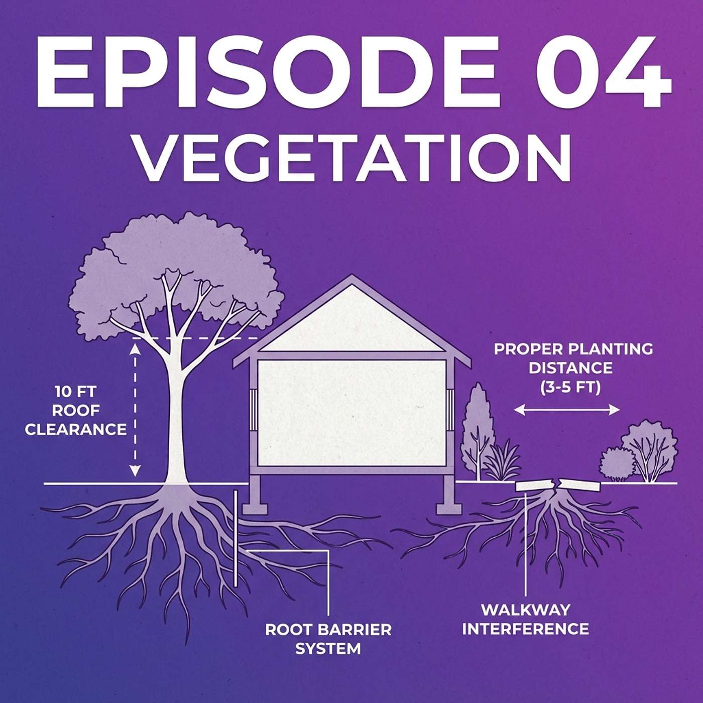 04 - Vegetation episode artwork