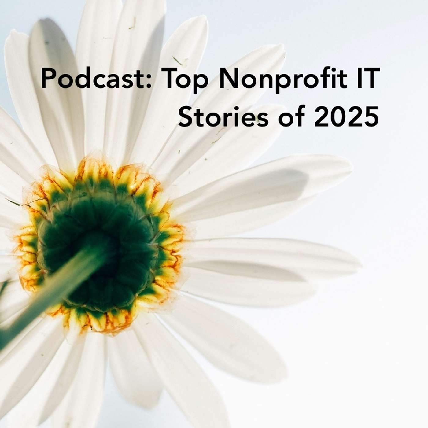 Top Nonprofit IT Stories 2025 with Community IT Senior Staff