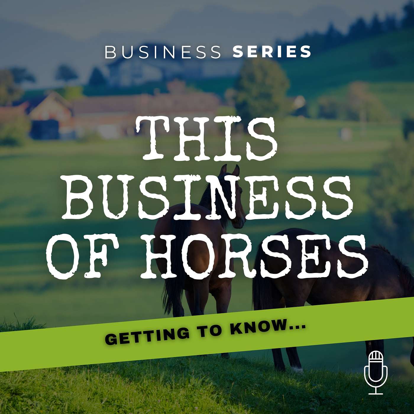 Getting to know...Shearwater Insurance Services