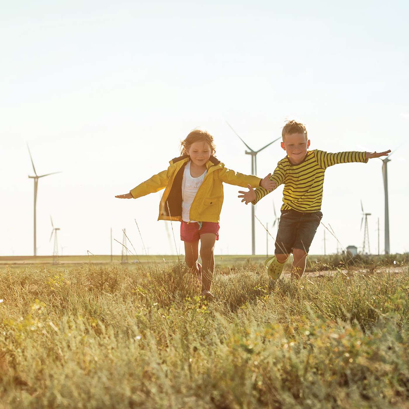 The Insatiable Appetite