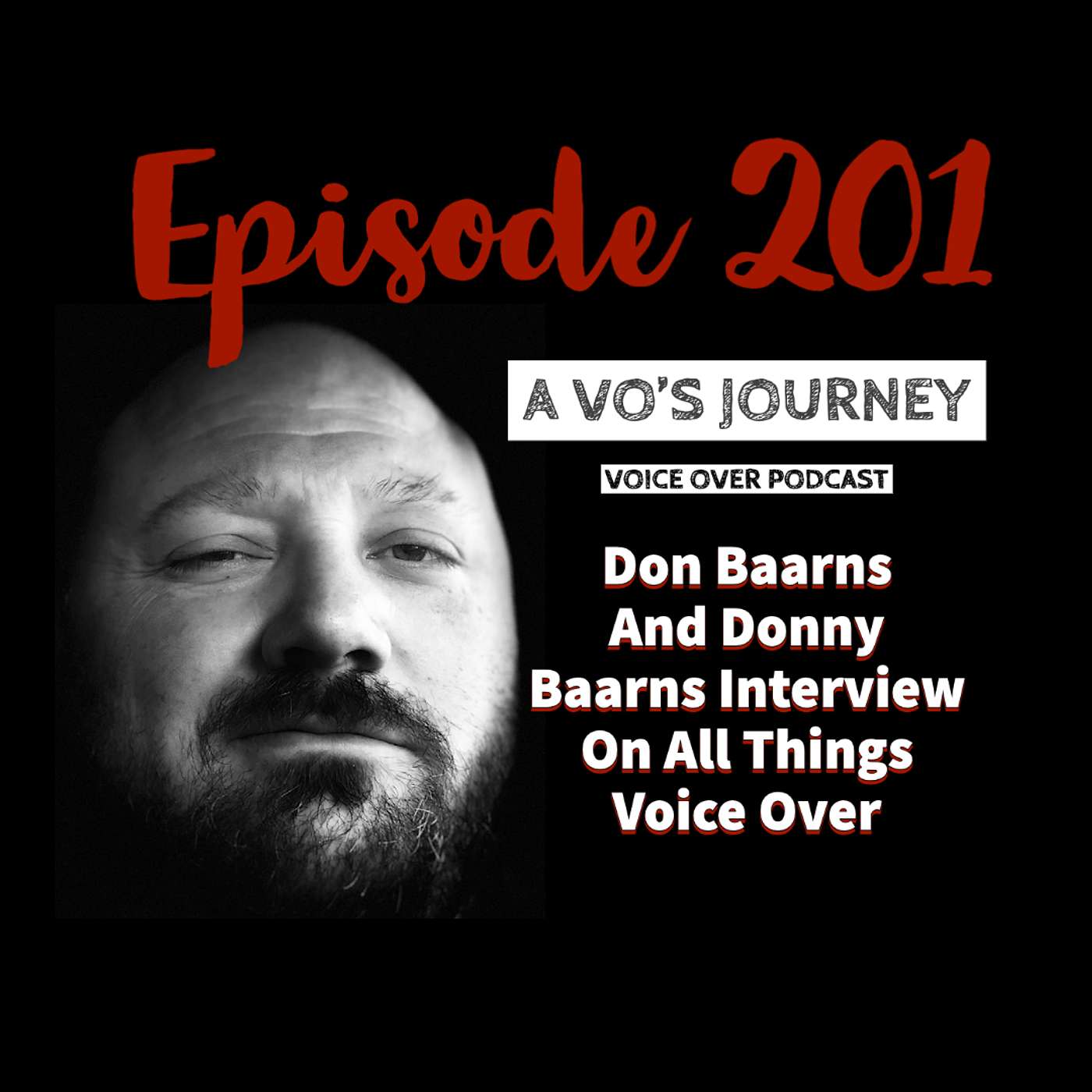 A VO\'s Journey: Voiceover and more voice over