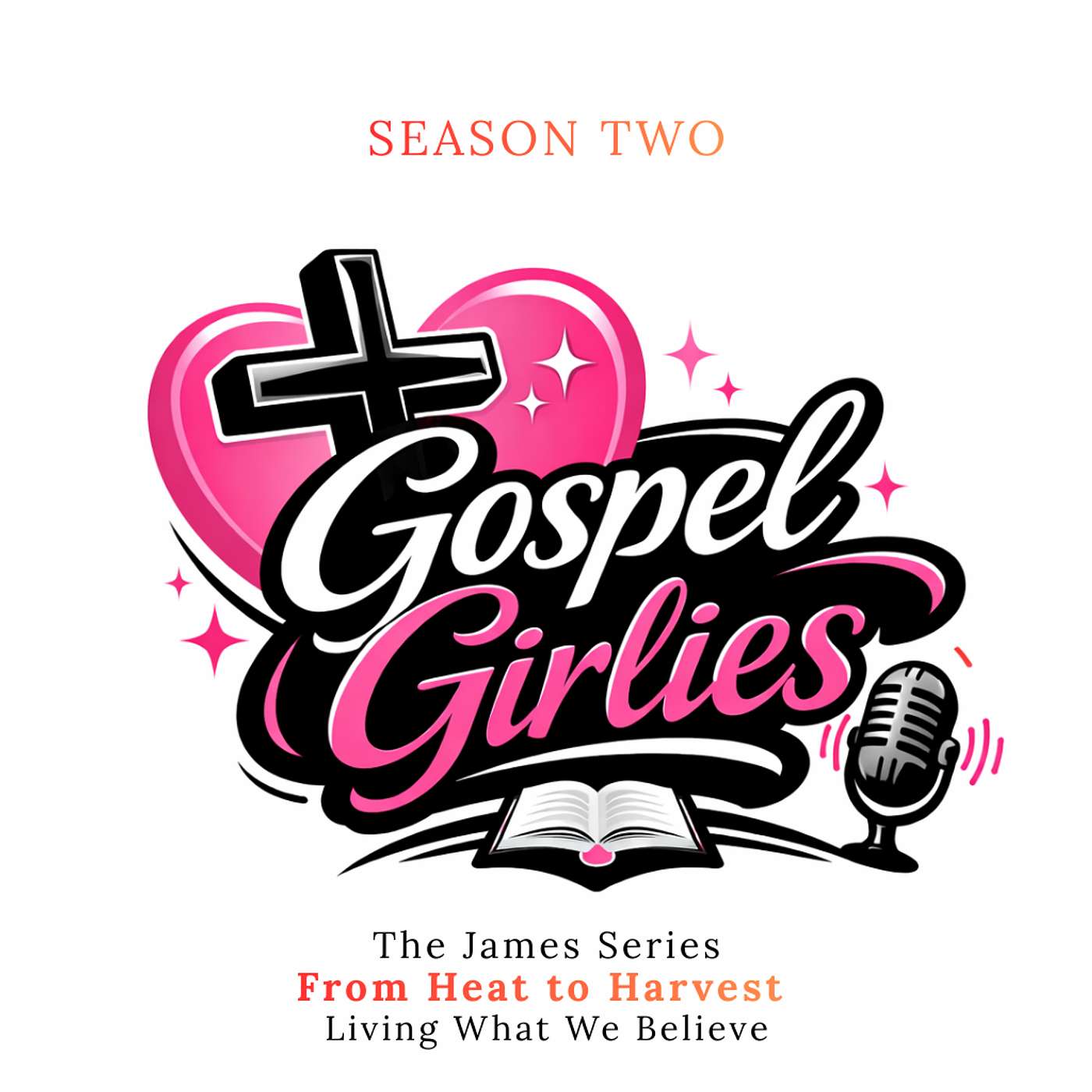 The James Series | Episode 5: Low and Slow — Patience, Prayer, and Healing episode artwork
