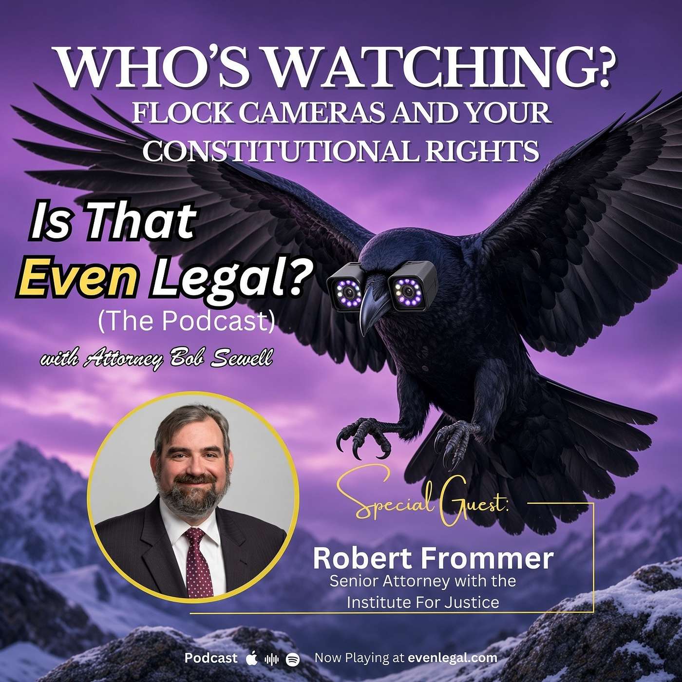 Who’s Watching? Flock Cameras and Your Constitutional Rights