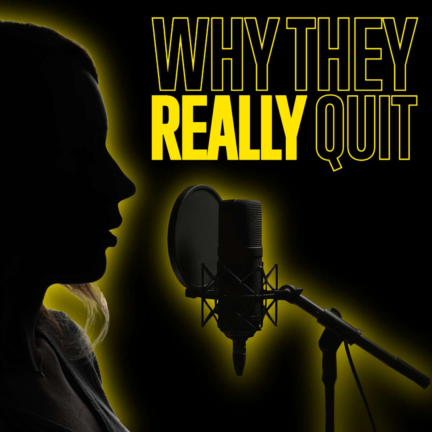 Why Voice Actors Quit BEFORE Things Start Working episode artwork