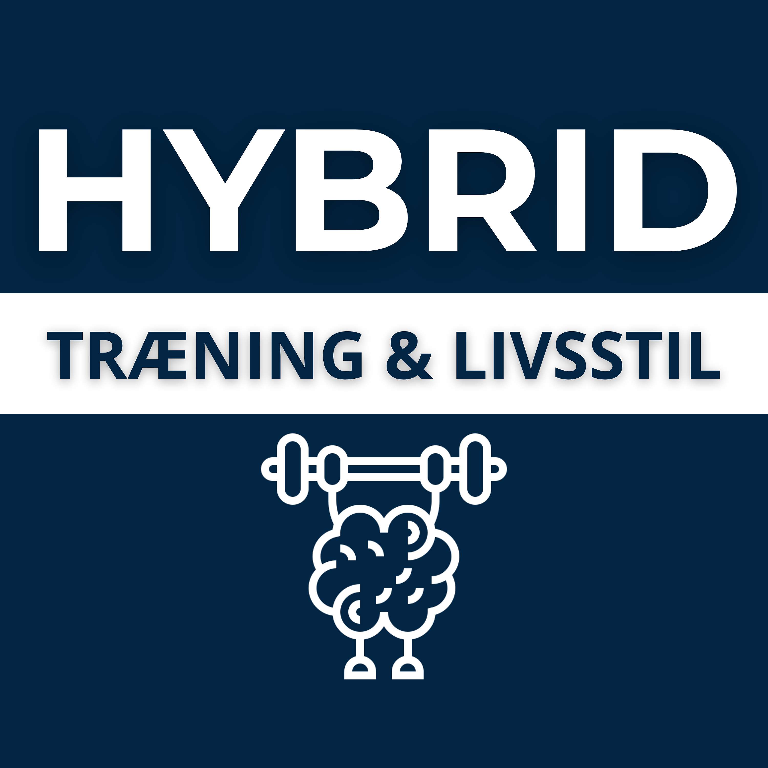 Hybrid Træning & Livsstil Artwork