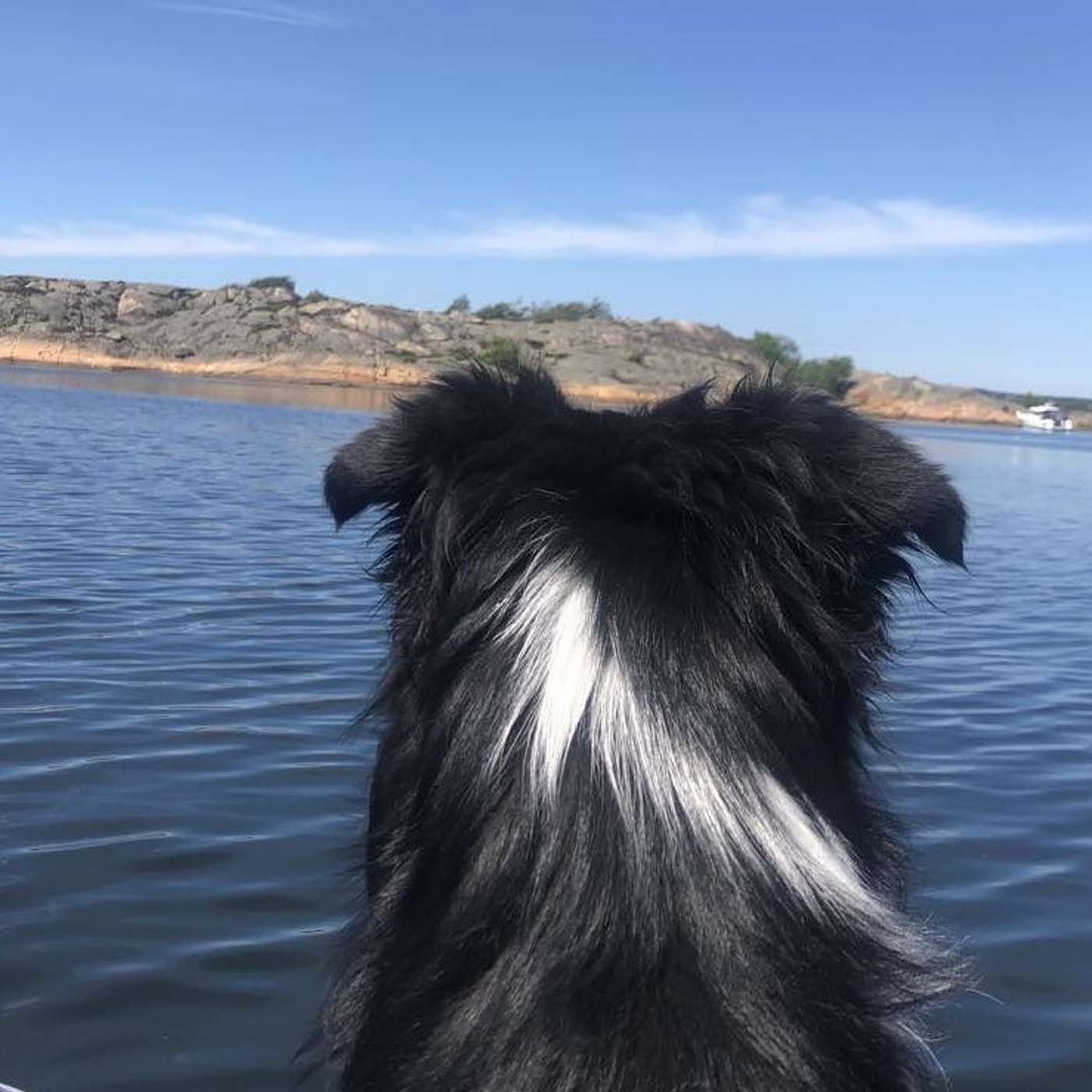 Kan det være fordi vi har forskjellig verdisyn?