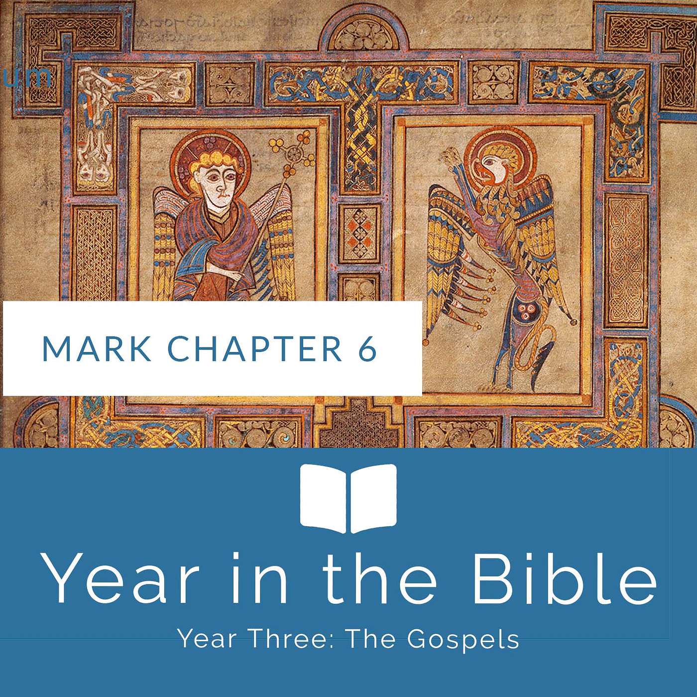Year in the Bible