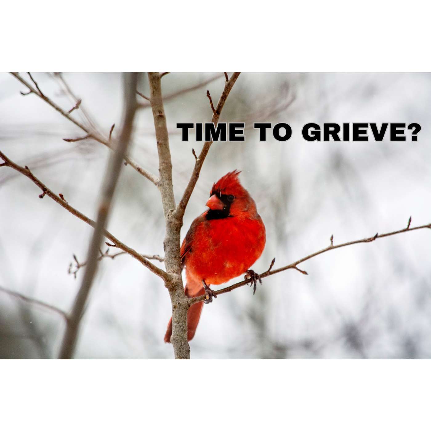 Time to Grieve?