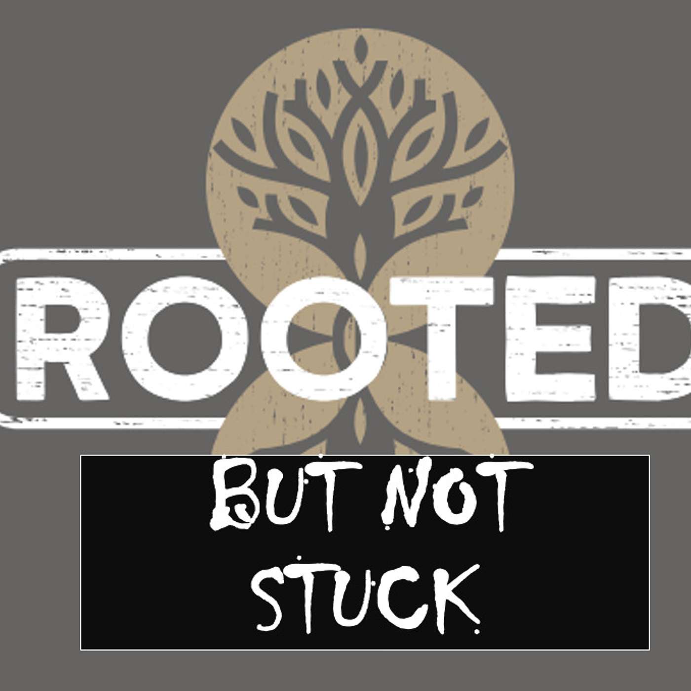 DFW Church of Christ\'s Podcast