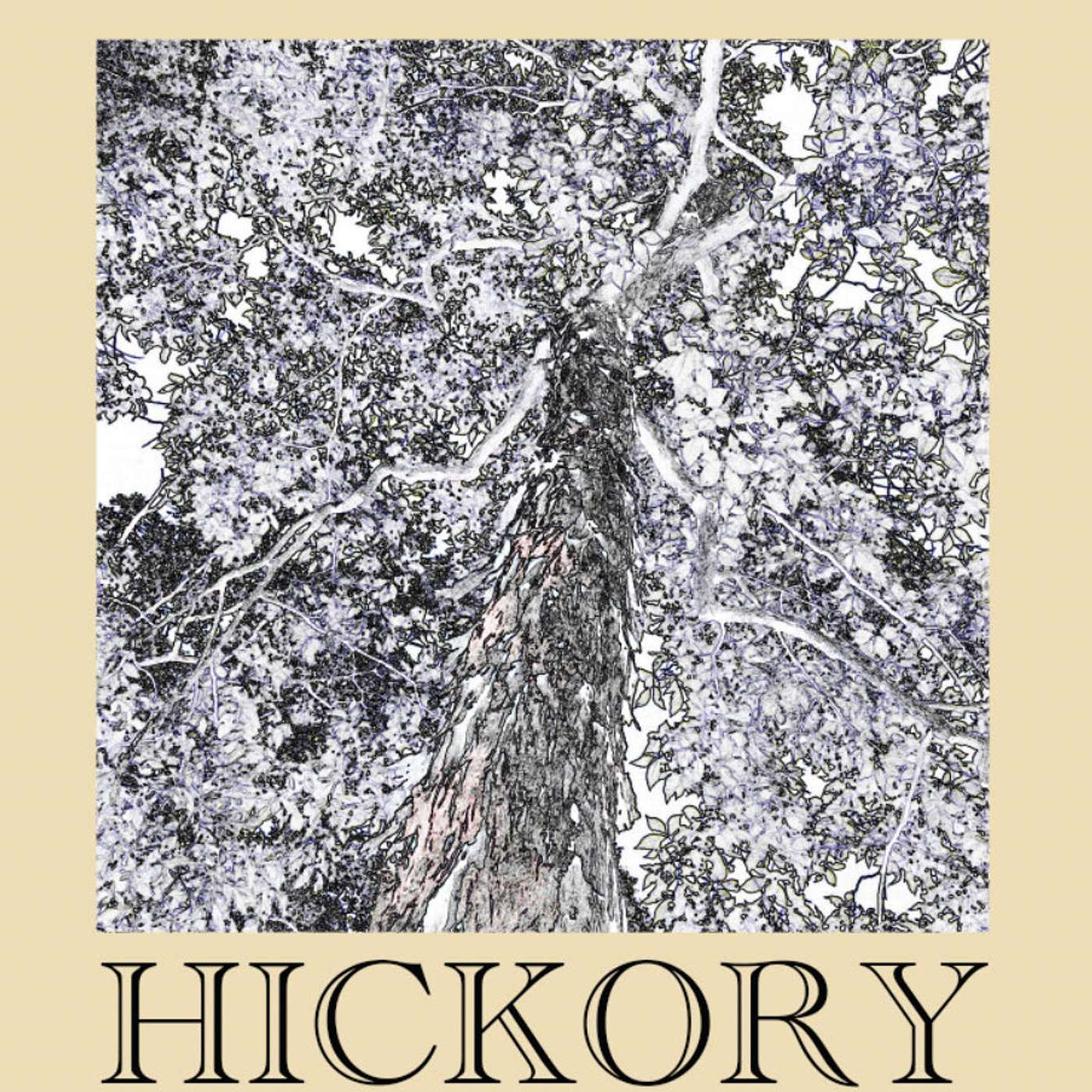 The HICKORY Podcast