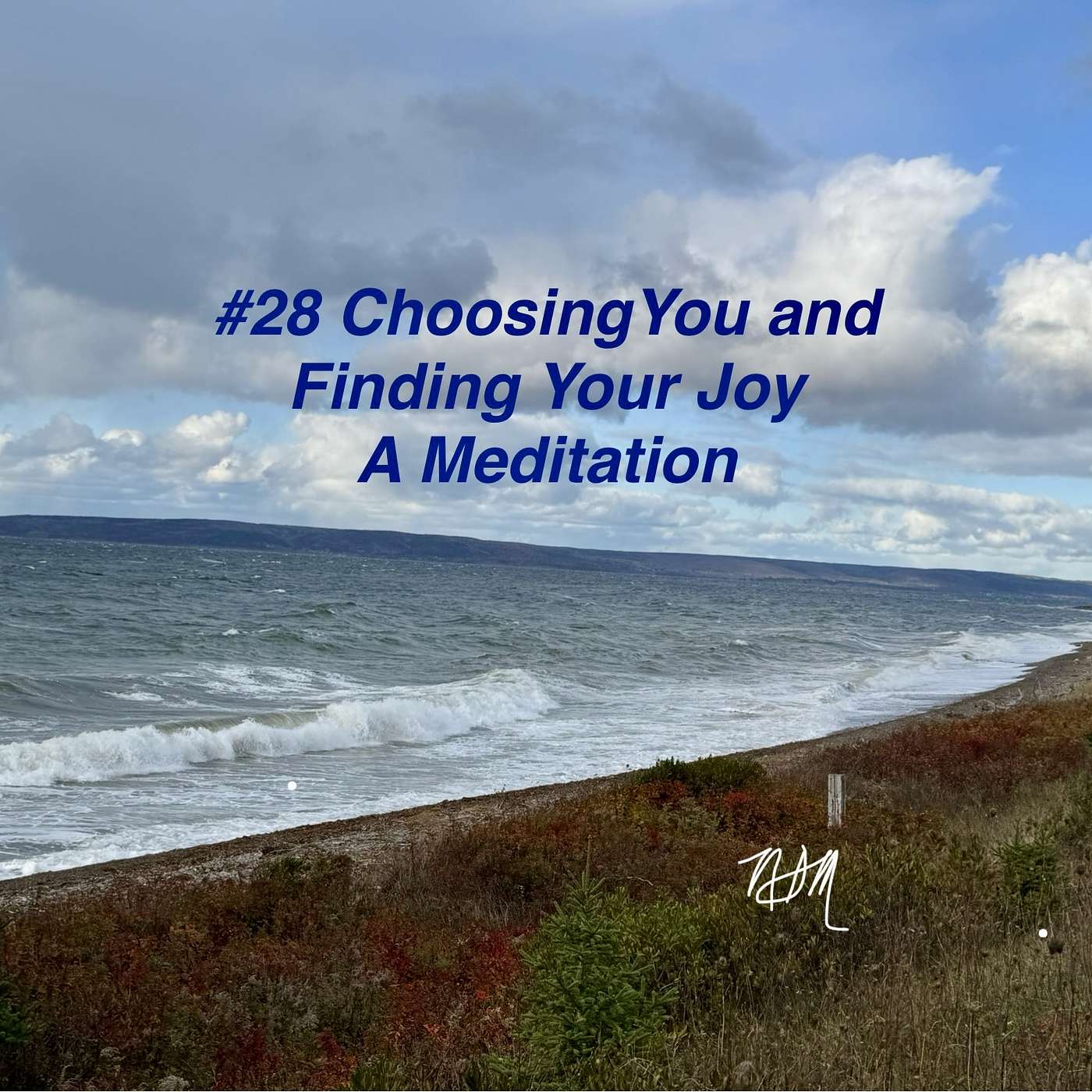 #28 Choosing You and Finding Your Joy (embracing relationship realities) - A Meditation