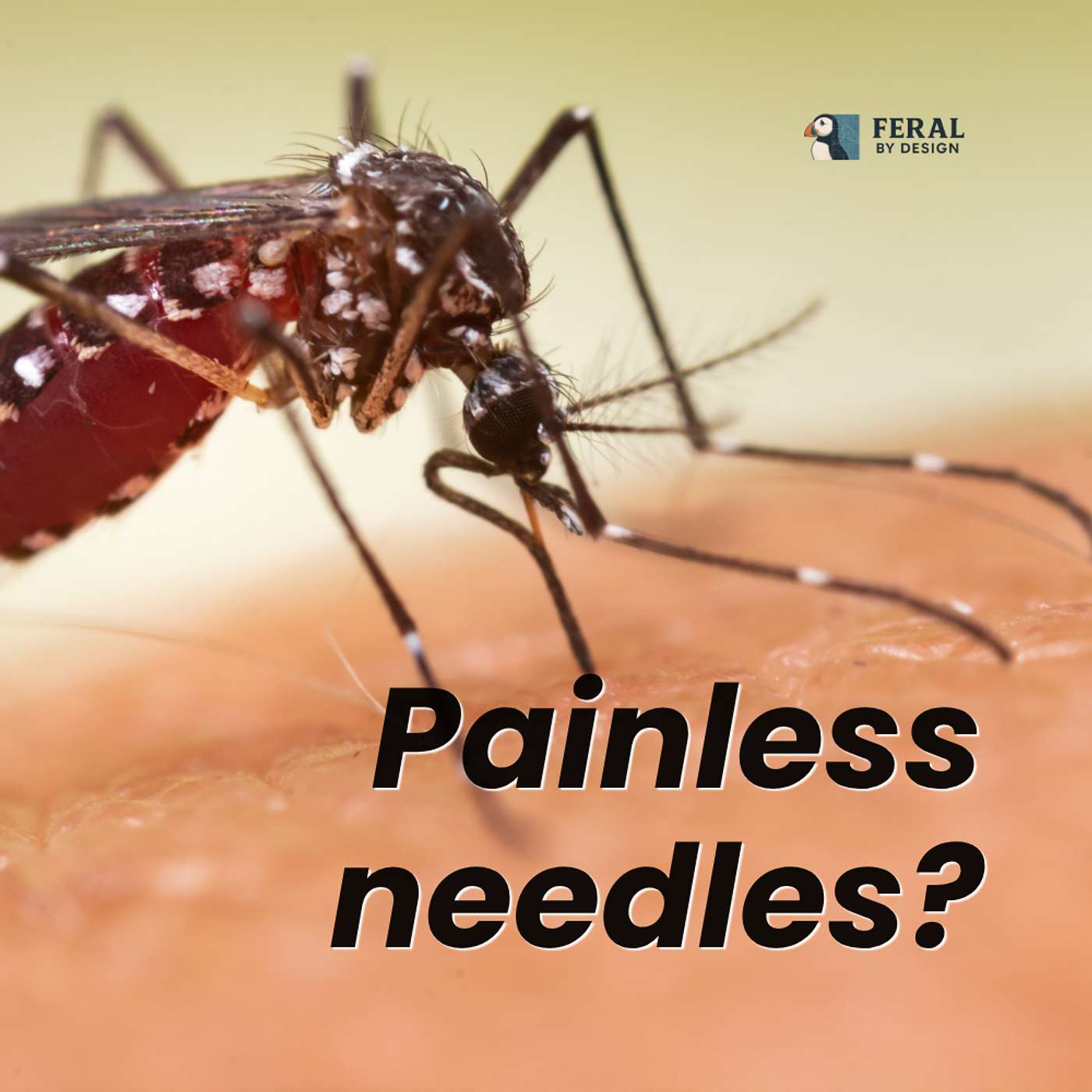 How Mosquitoes Inspired Painless Needles episode artwork