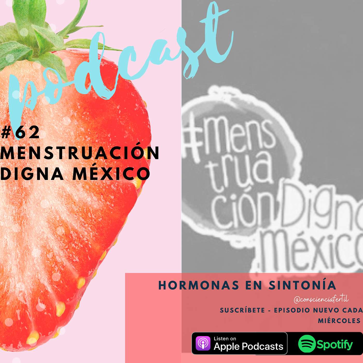 E 62: Menstruación Digna en México