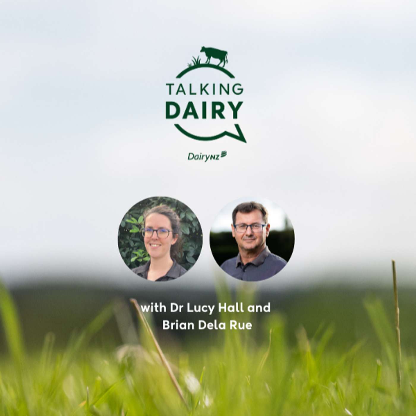 Work smarter, not harder: Insights from productive dairy farm workplaces | Ep. 108
